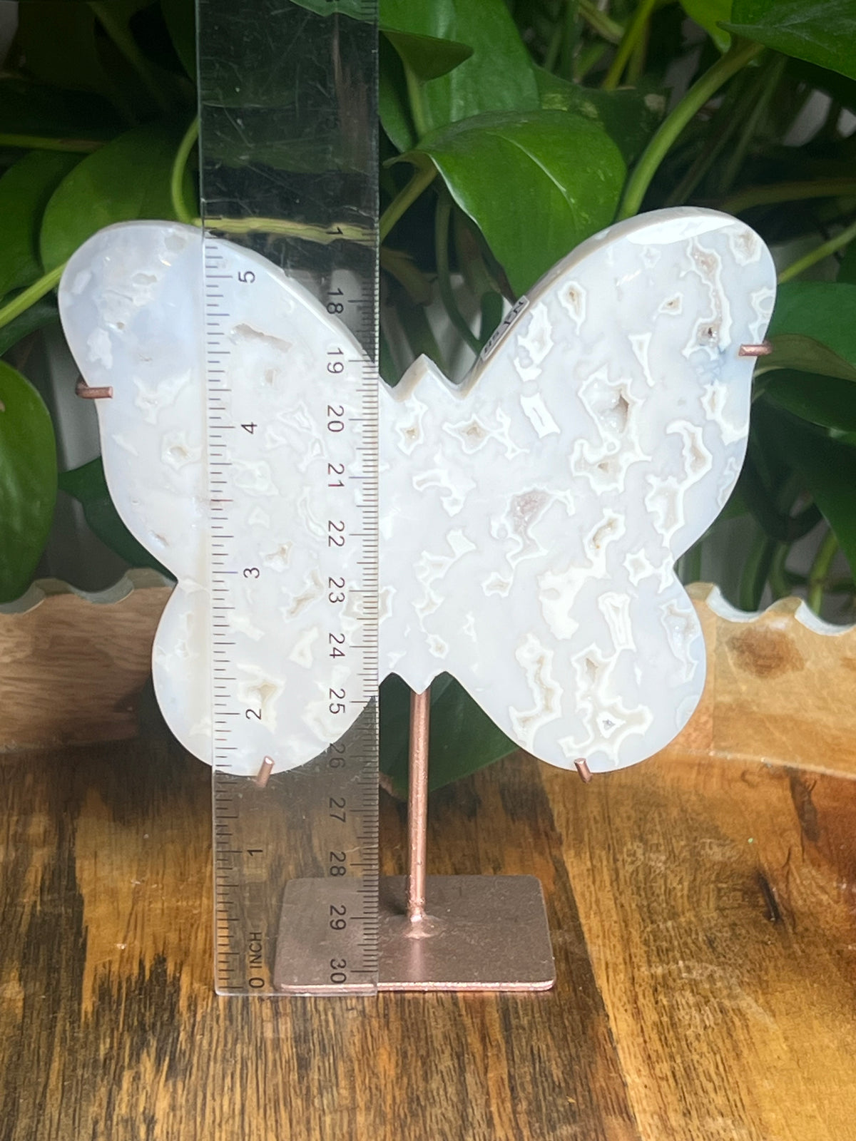 White Plume Agate Butterfly: PN