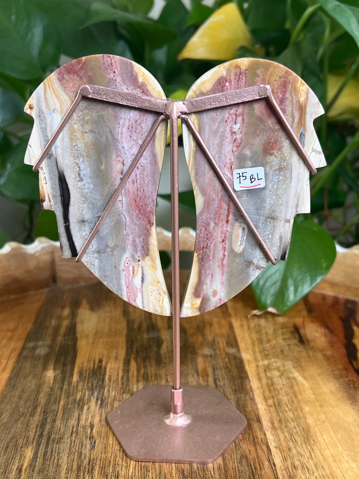 River Jasper Wings BL