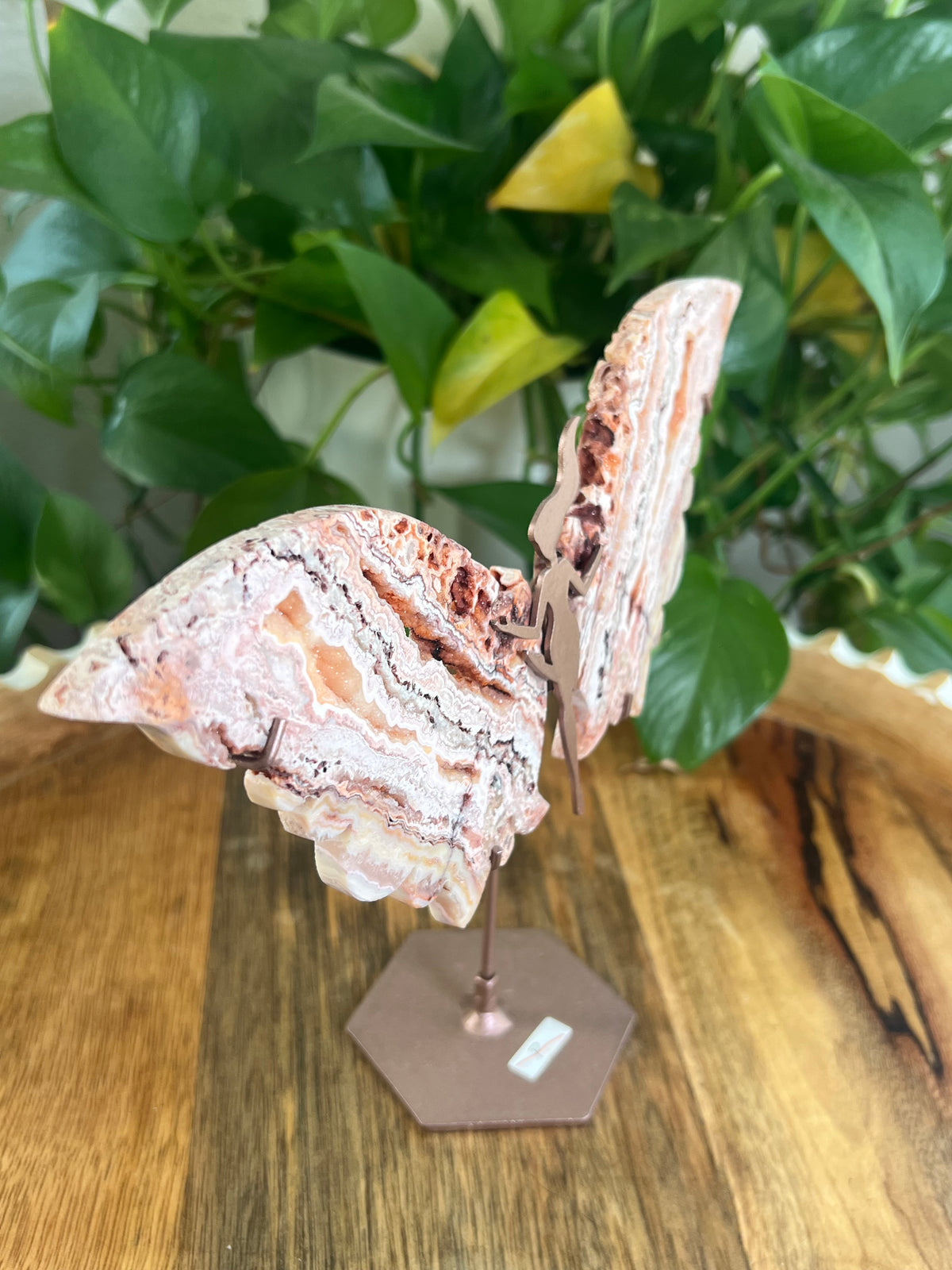 Crazy Lace Agate Wings P