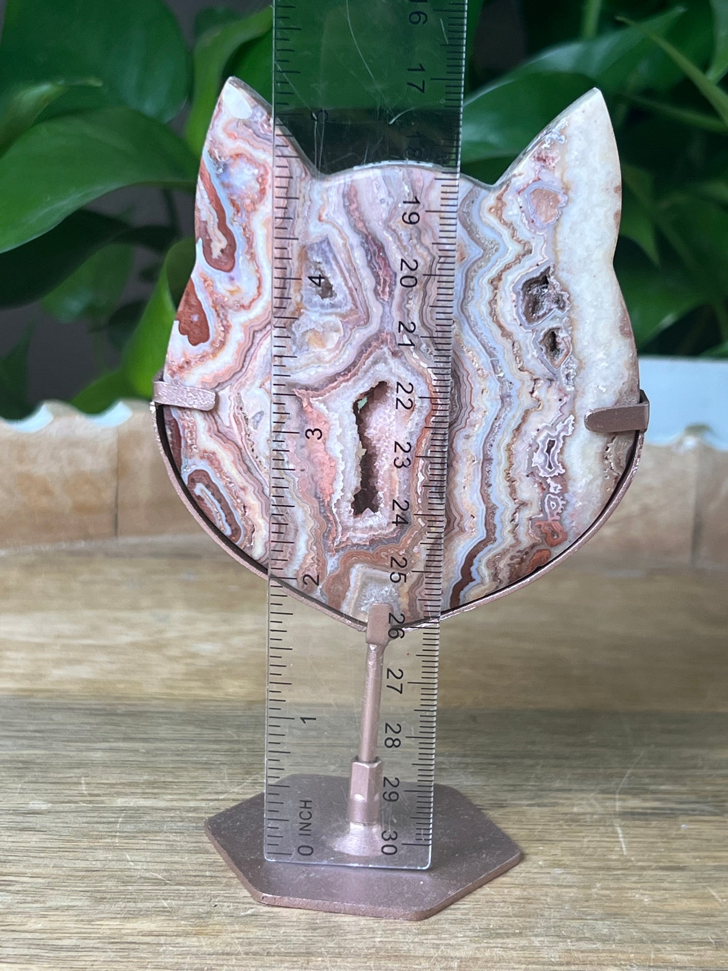 Crazy Lace Agate Cat