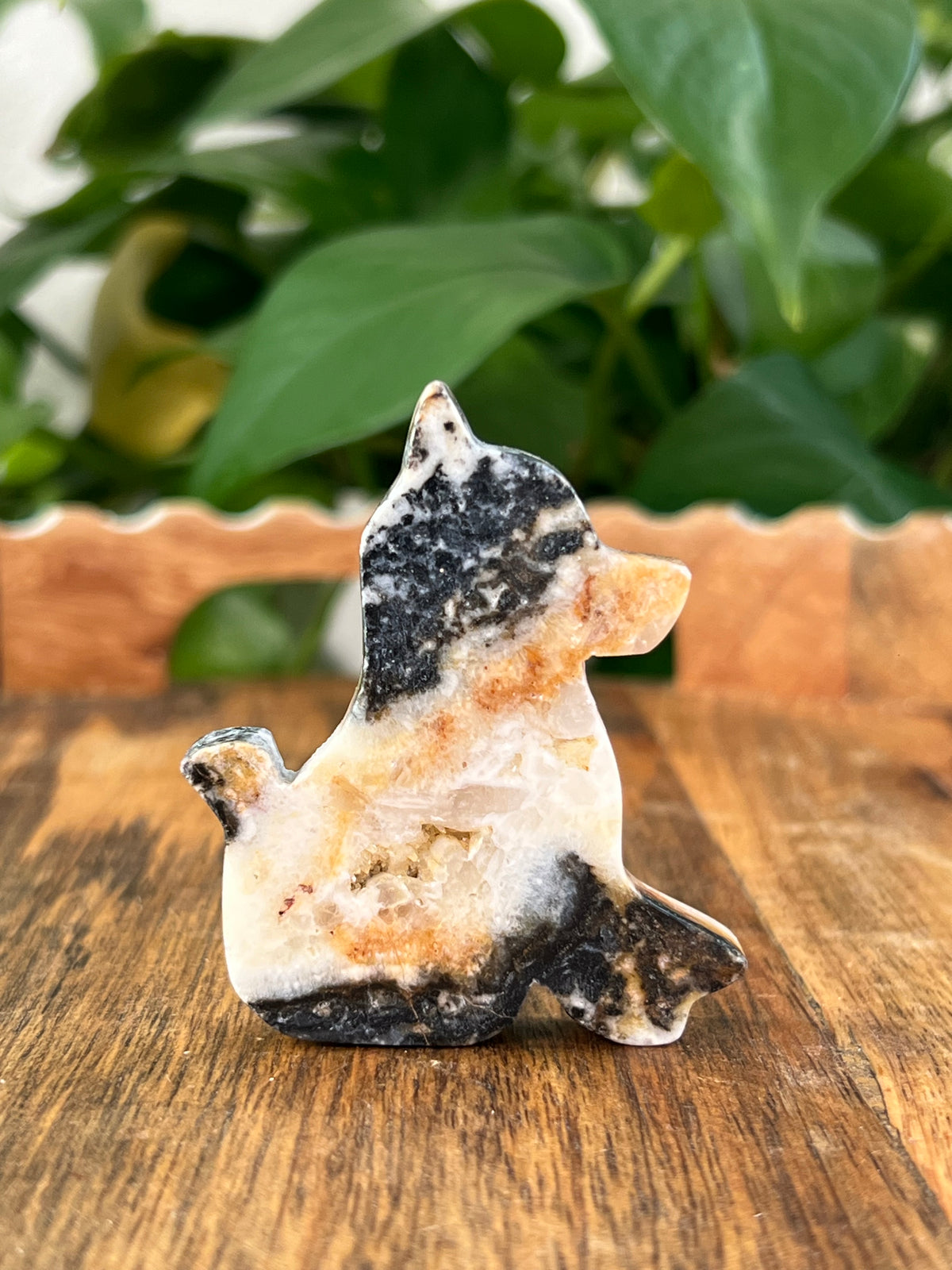 Sphalerite Dogs