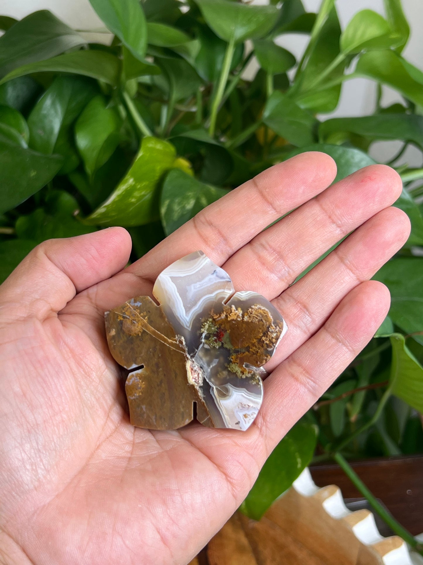 Scenic Moss Agate Flower