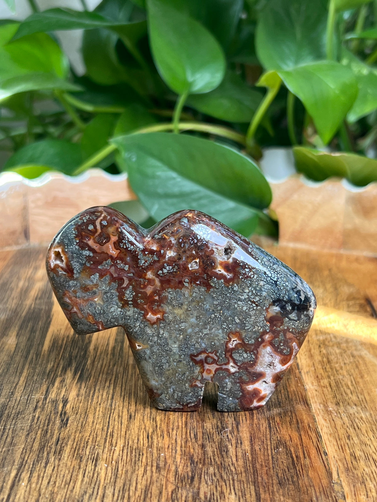 Marcasite Buffalo: CC