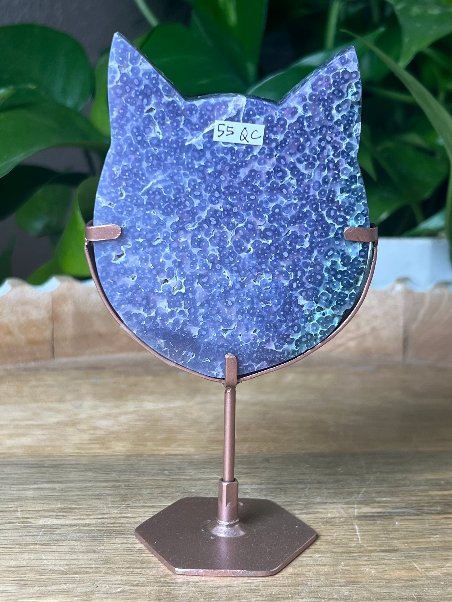 Grape Agate Cat
