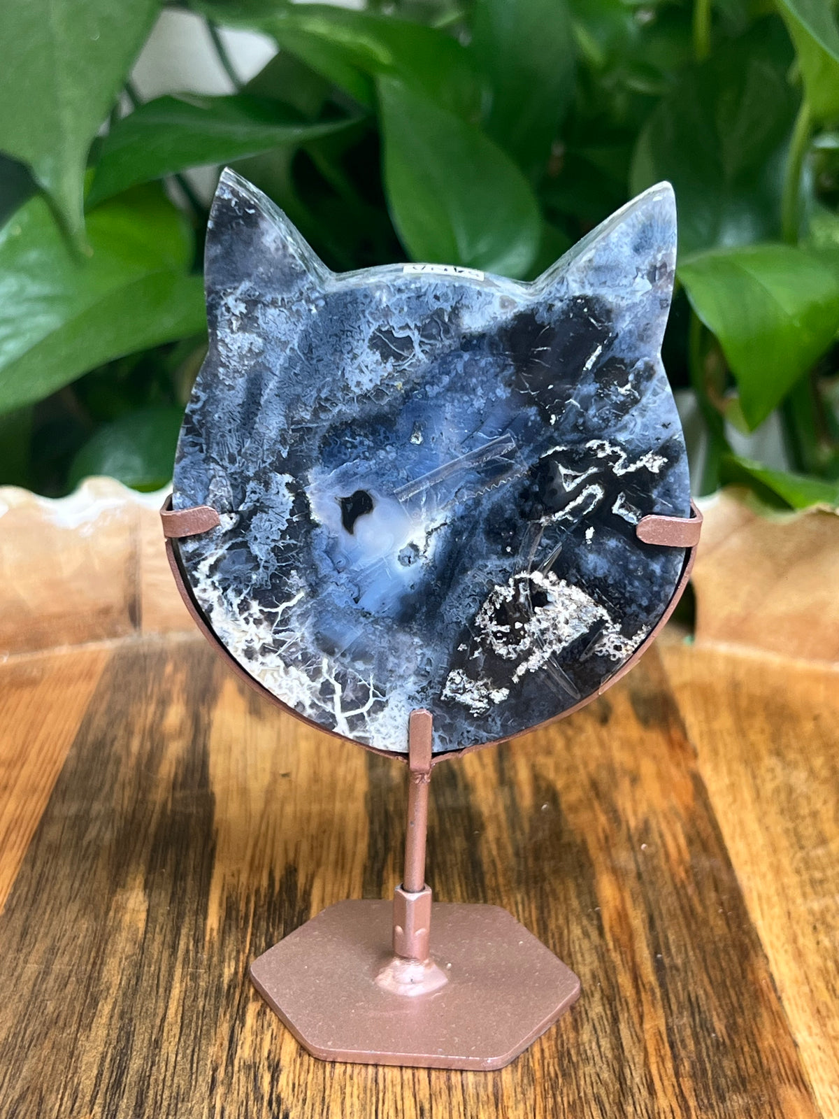 Blue Plume Agate Cat Head: NA