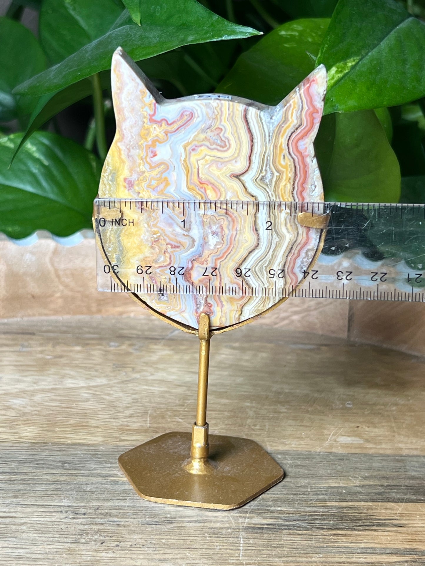 Crazy Lace Agate Cat Head