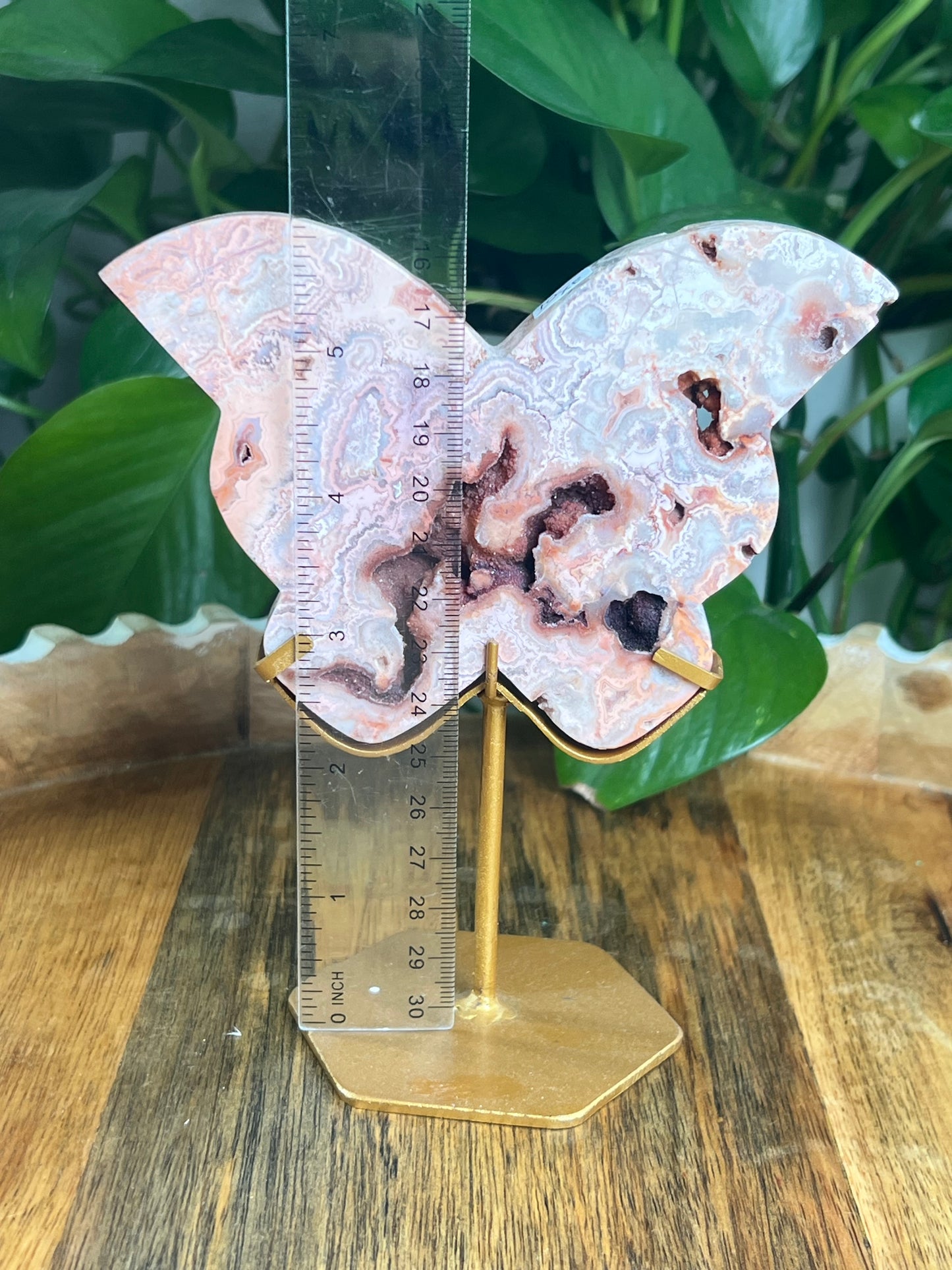 Crazy Lace Agate Butterfly: XE