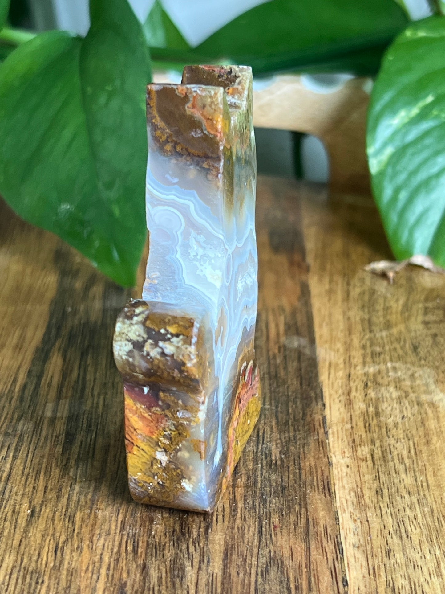 Scenic Moss Agate Cat HY