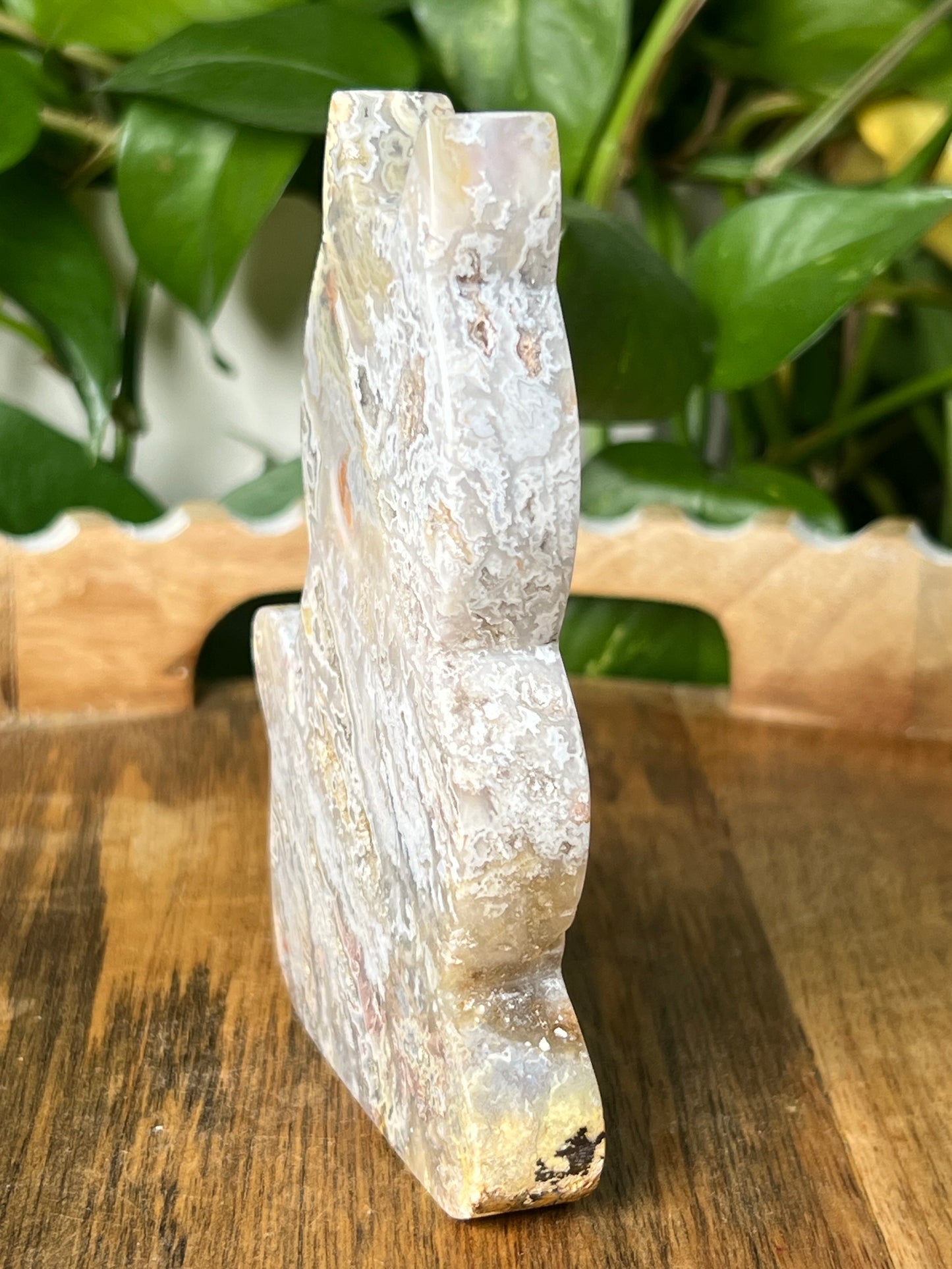 Sumatra Plume Agate Cat