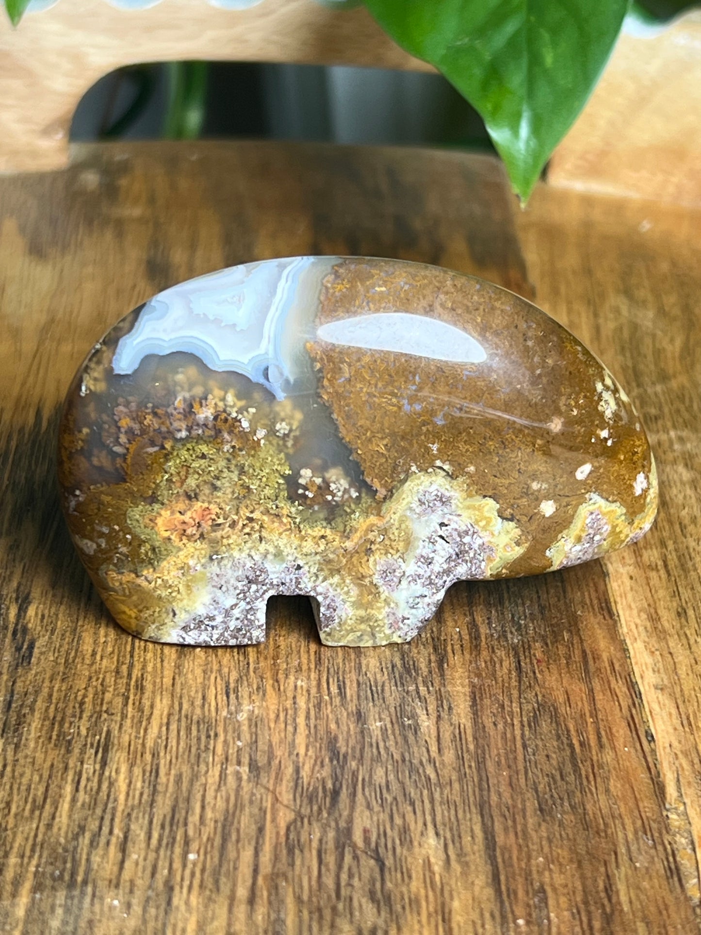 Scenic Moss Agate Bear BH