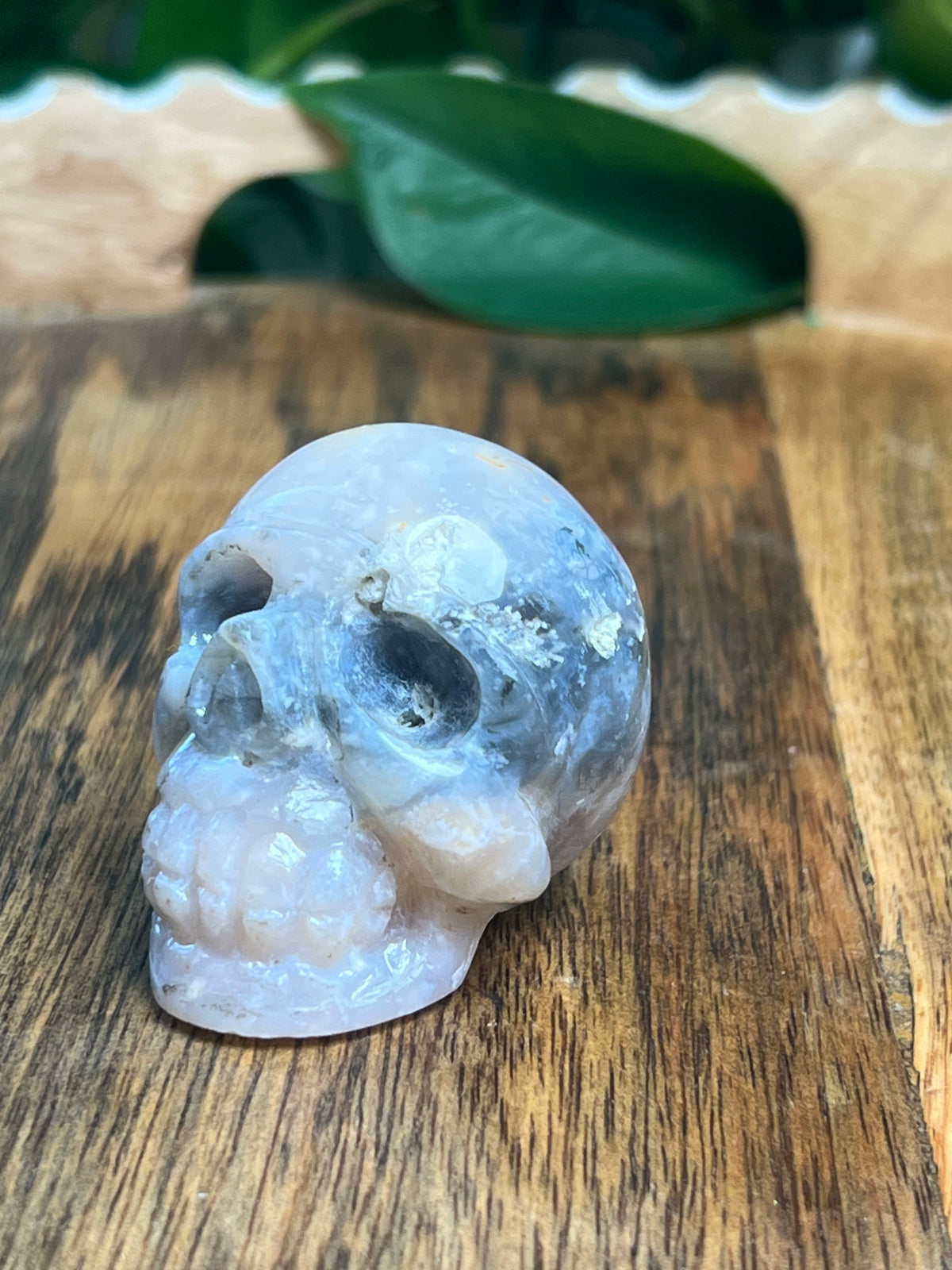 Rainbow Plume Agate Mini Skull: DL