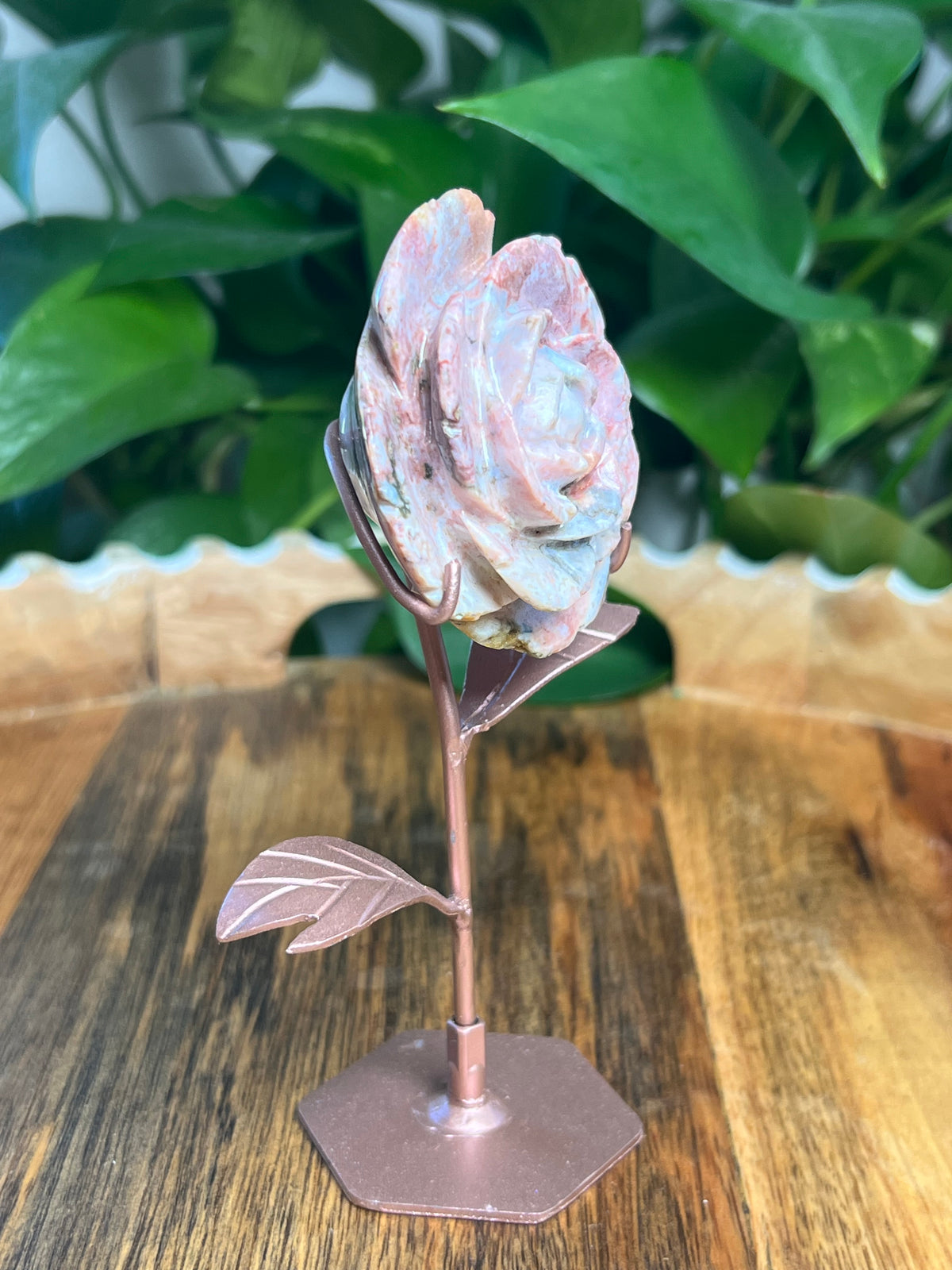 Pink River Jasper Rose: AB