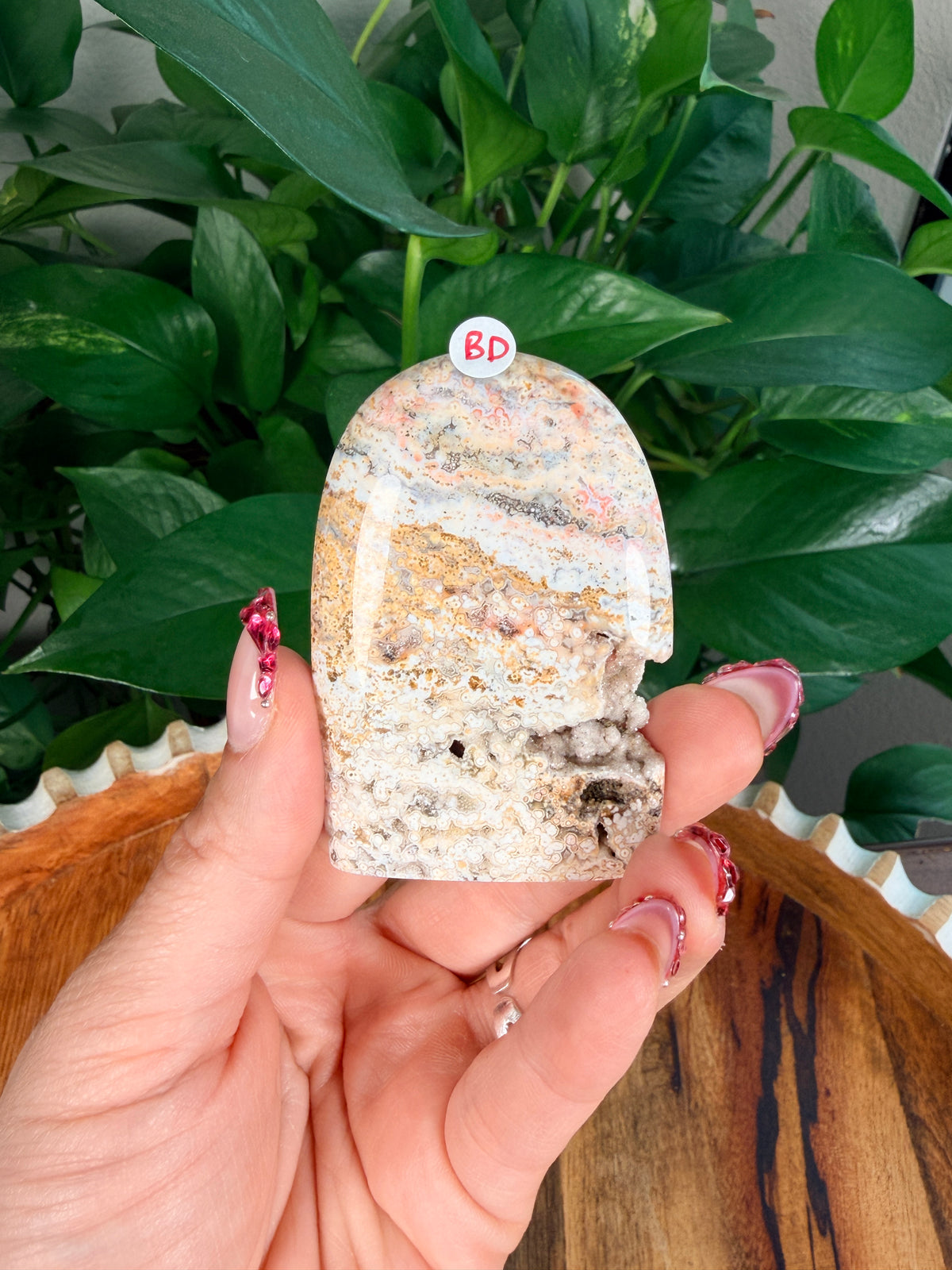 Sea Jasper Mini Freeforms
