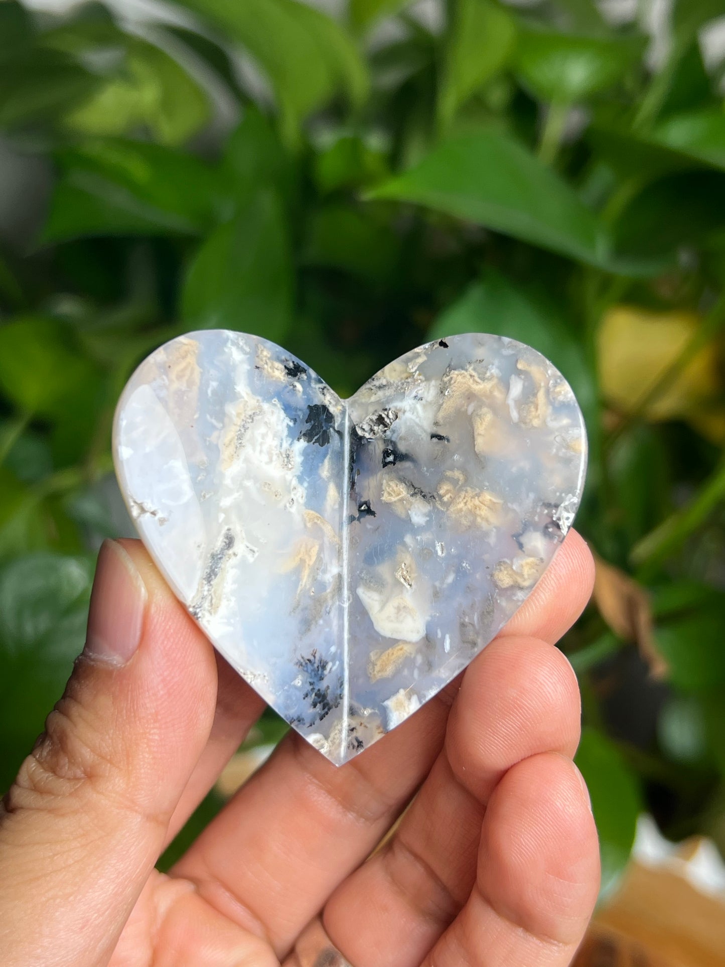Dendritic Tiger Agate 3D Butterfly Hi