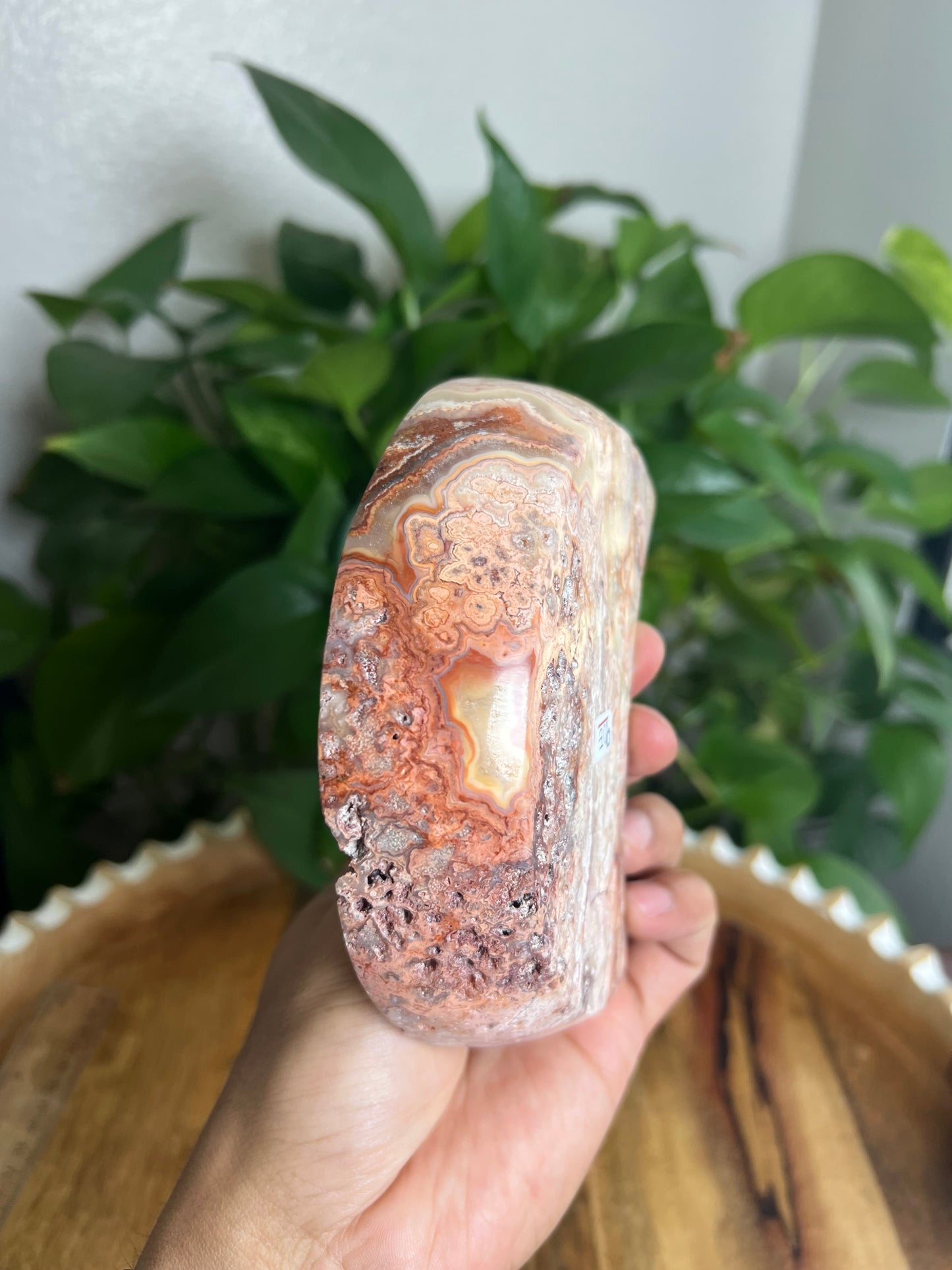 Crazy Lace Agate Moon Bowl: E
