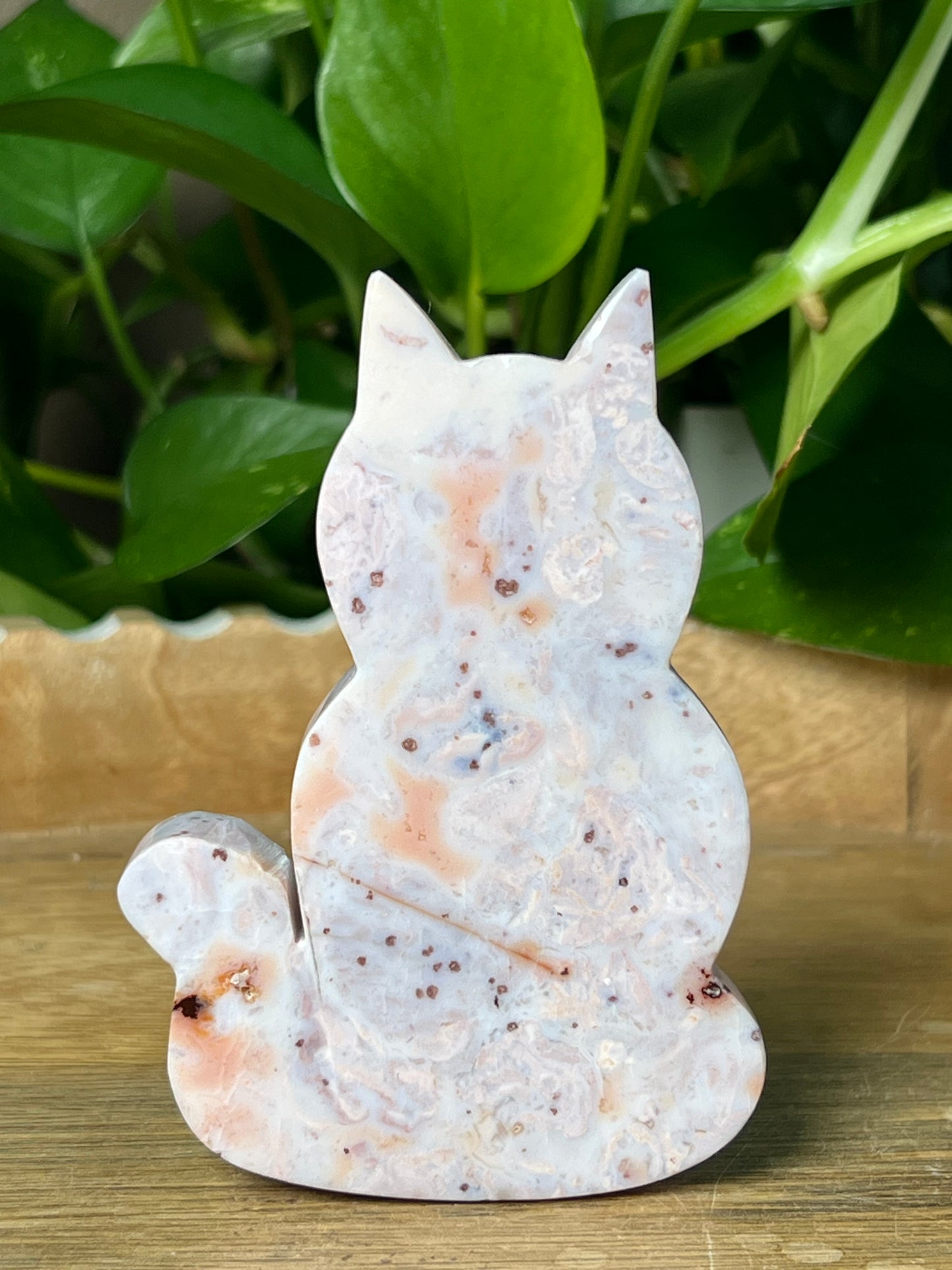 Pink Carnelian Cat