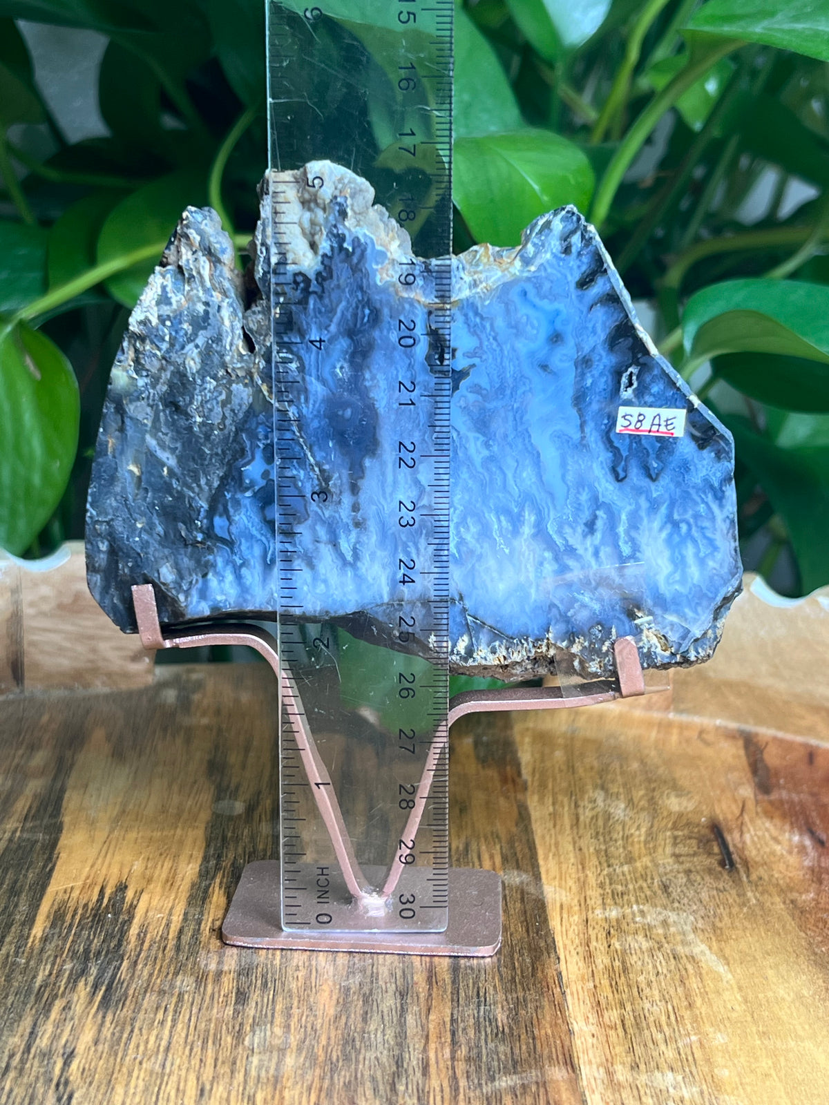 Blue Plume Agate Slab: AE