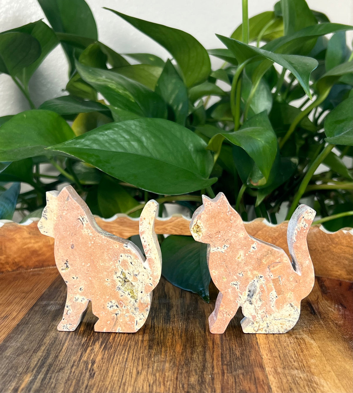 Peachy Pink Dendritic Jasper Cats