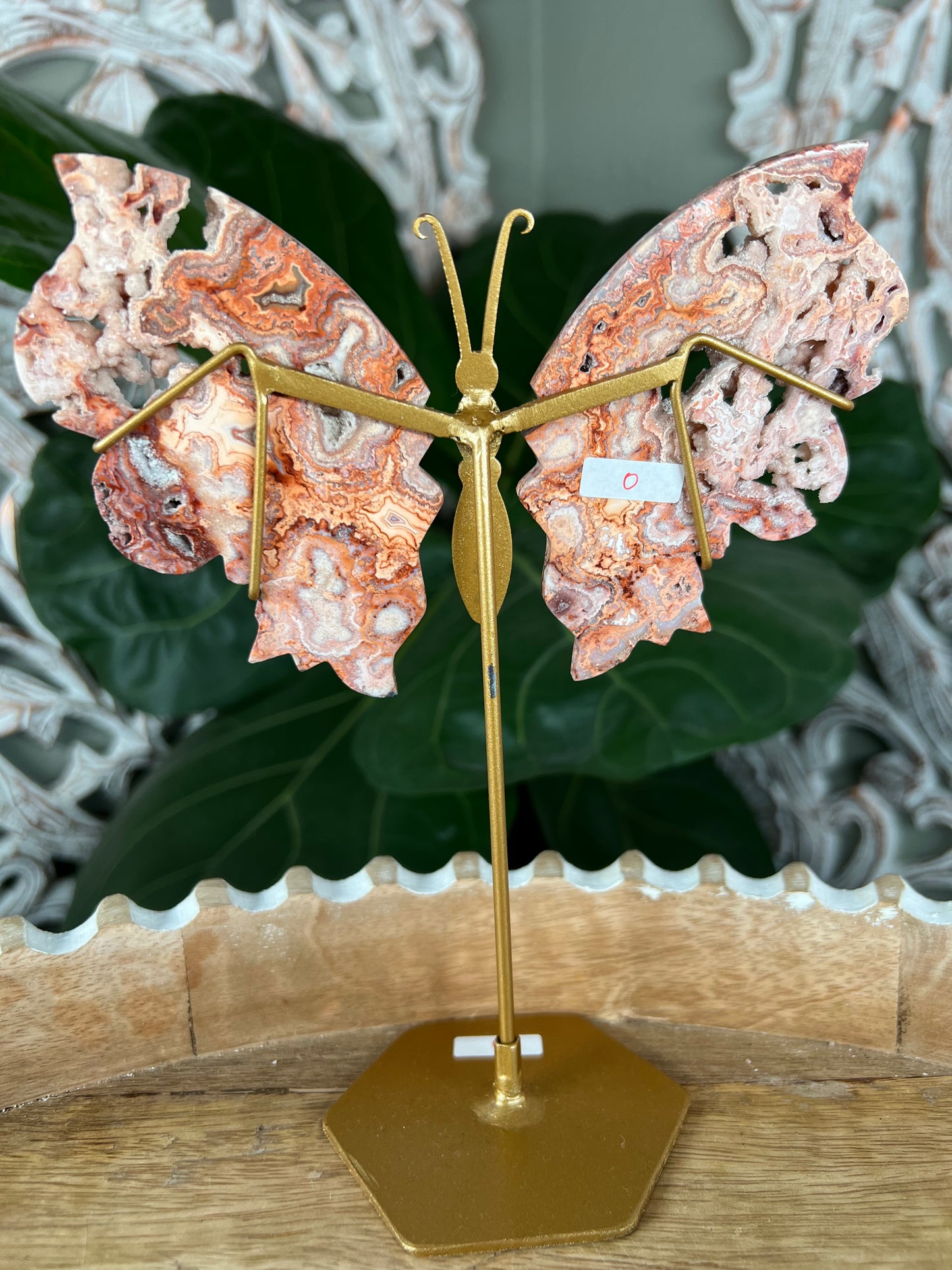 Crazy Lace Agate Wings