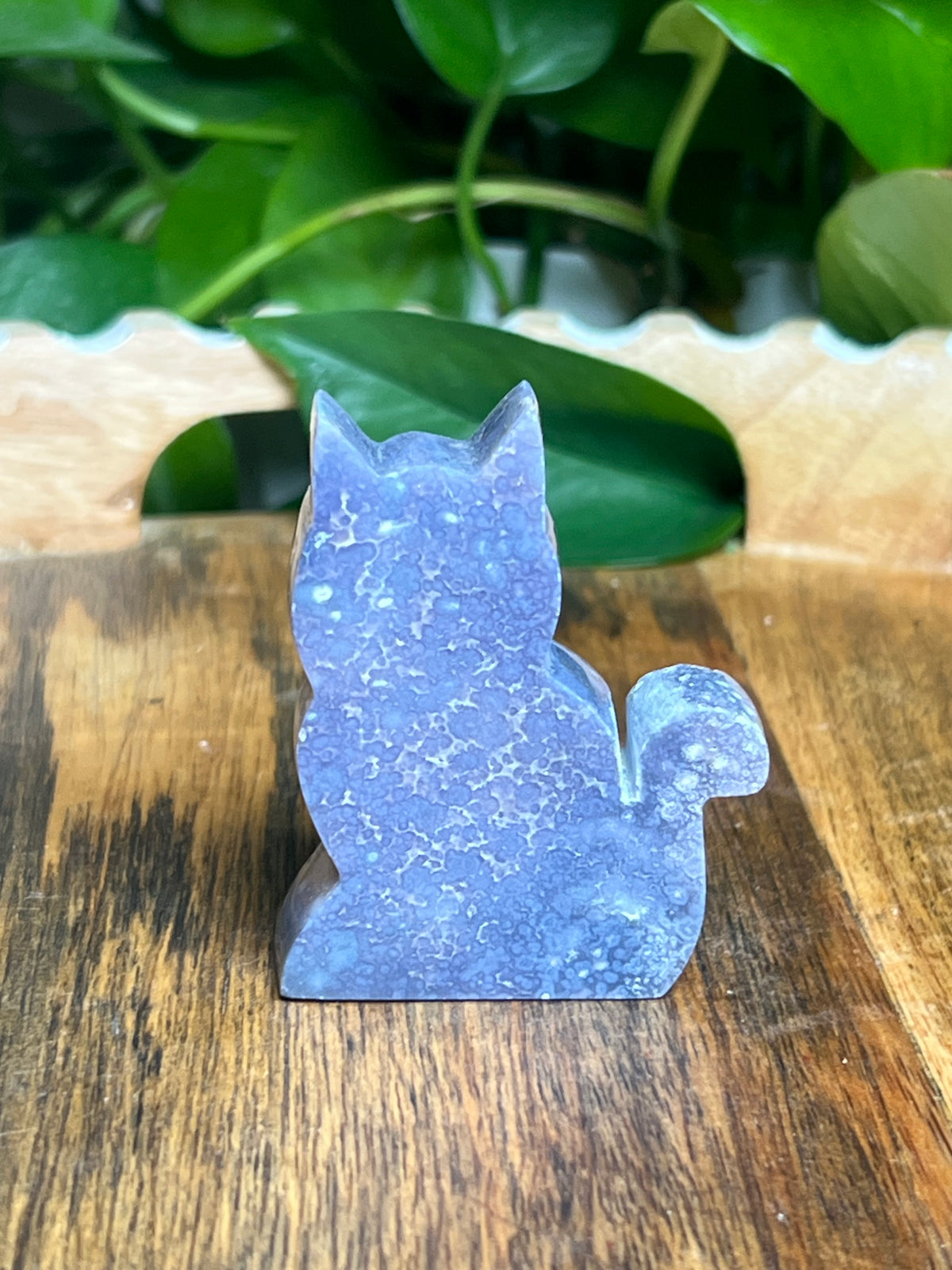 Grape Agate Mini Cat: BS