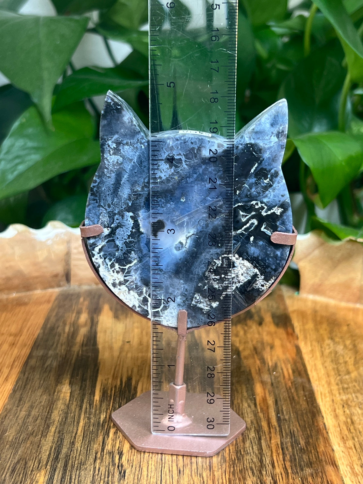 Blue Plume Agate Cat Head: NA
