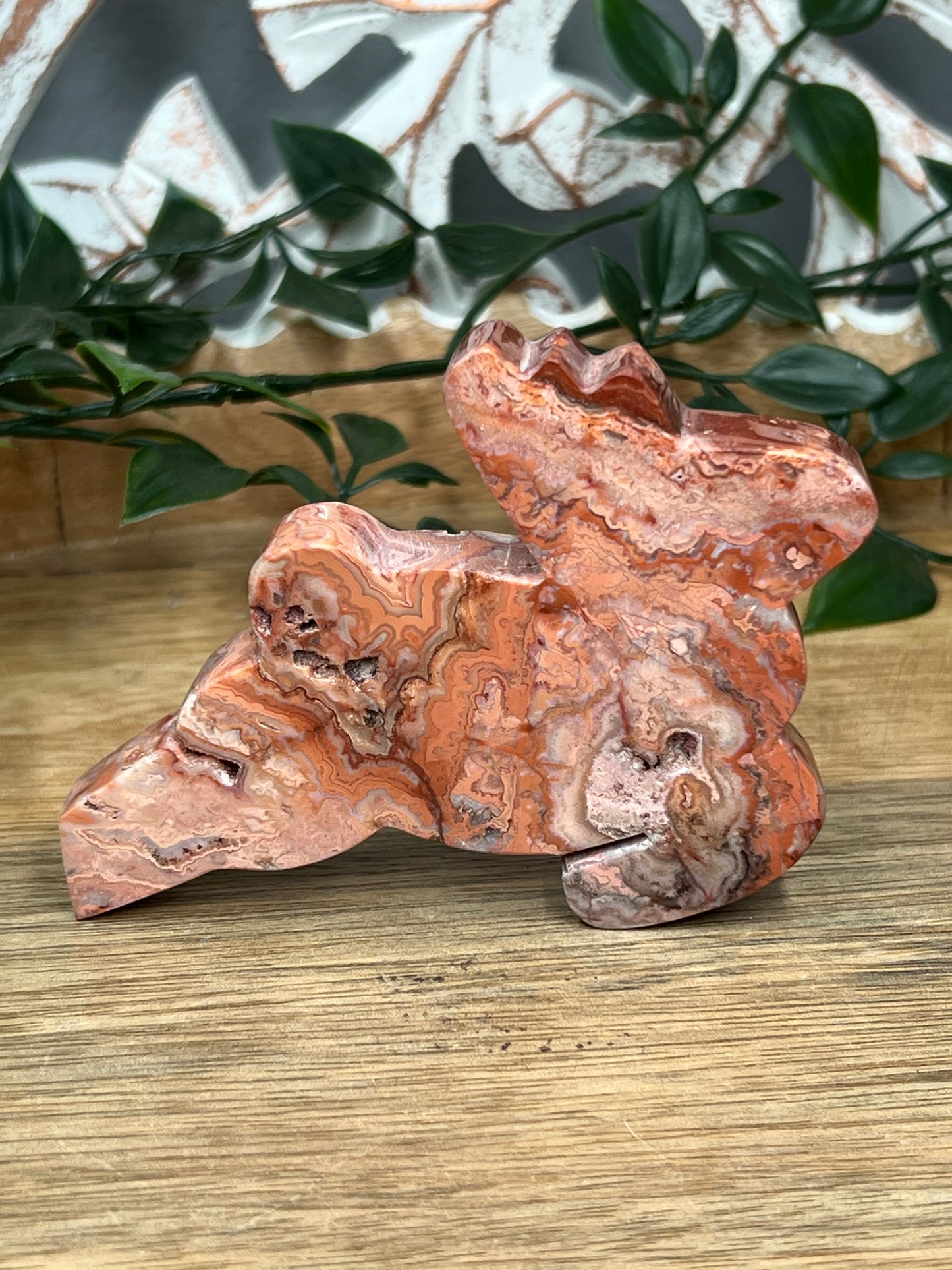 Crazy Lace Agate Deer