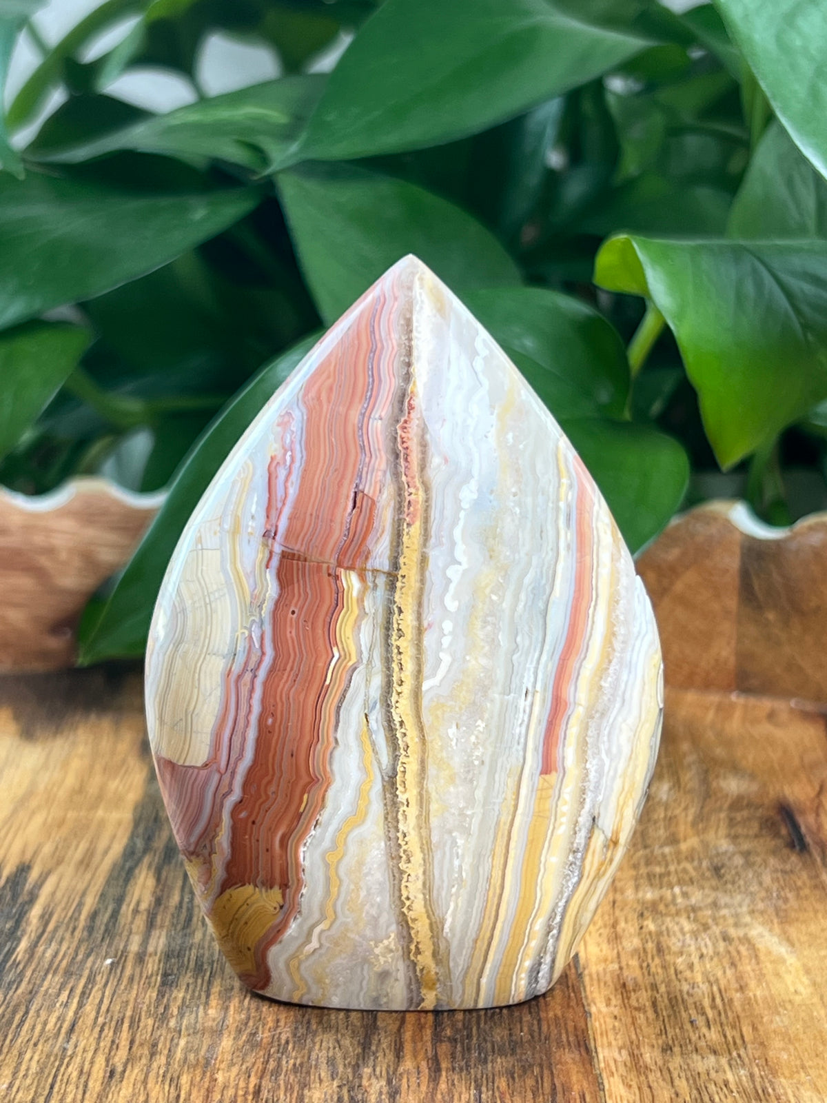 Crazy Lace Agate Flame: EH