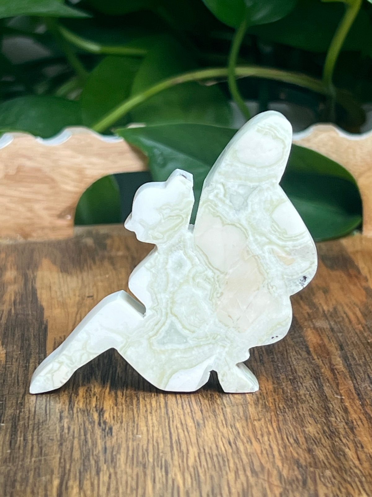 Kiwi Jasper Pixie Fairy: C