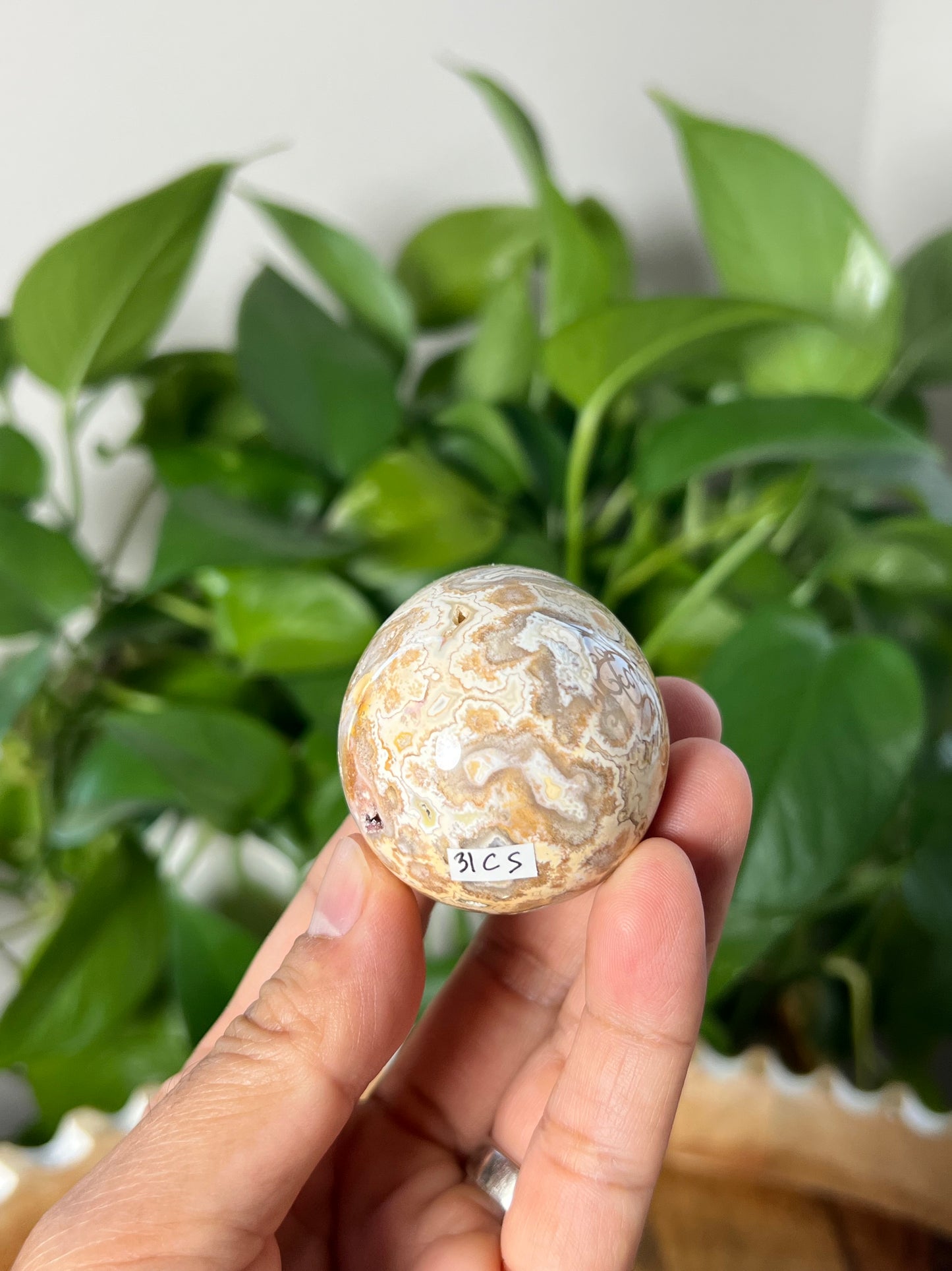 Crazy Lace Agate Egg