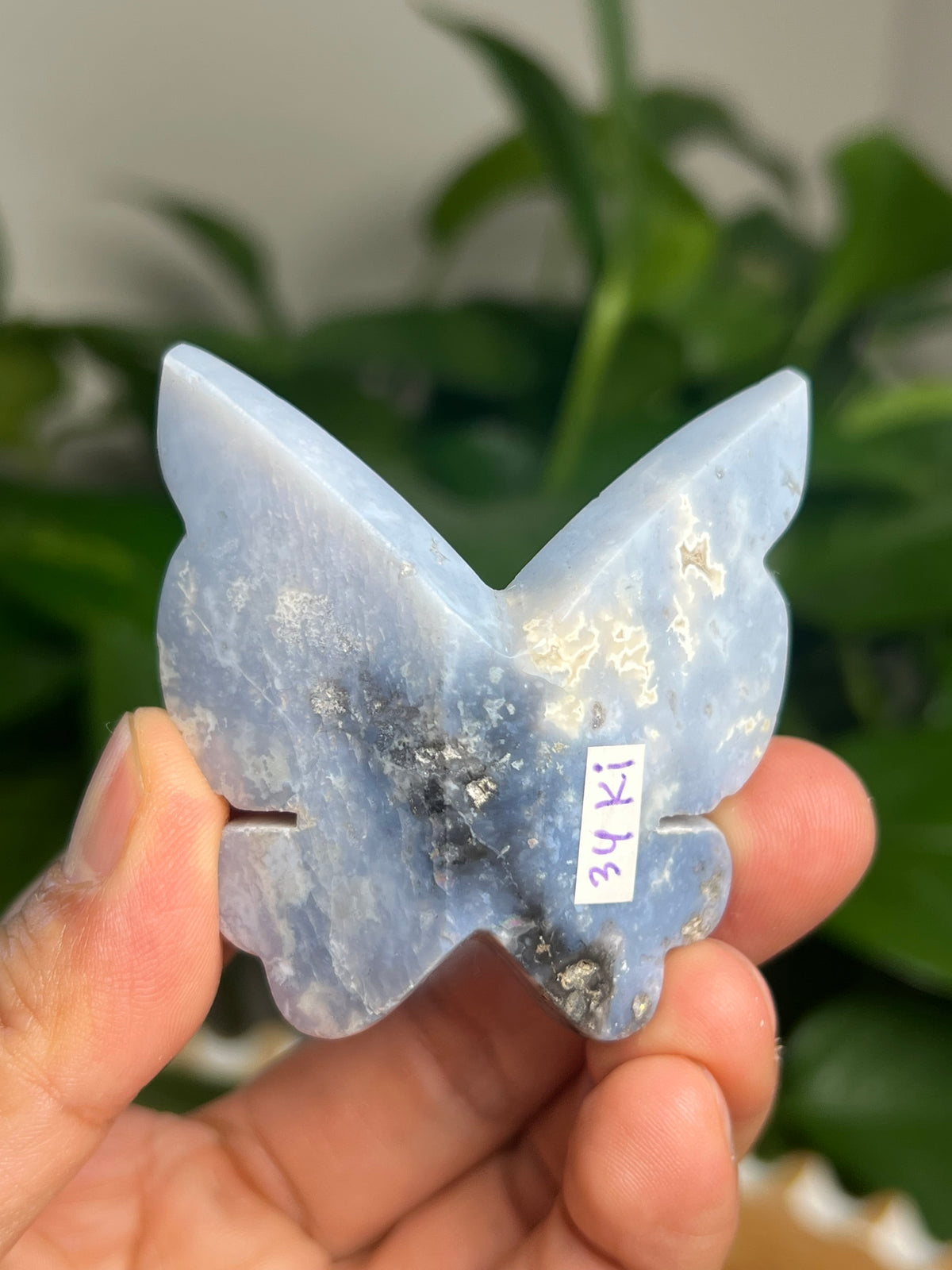 Blue Plume Agate 3D Butterfly: Ki