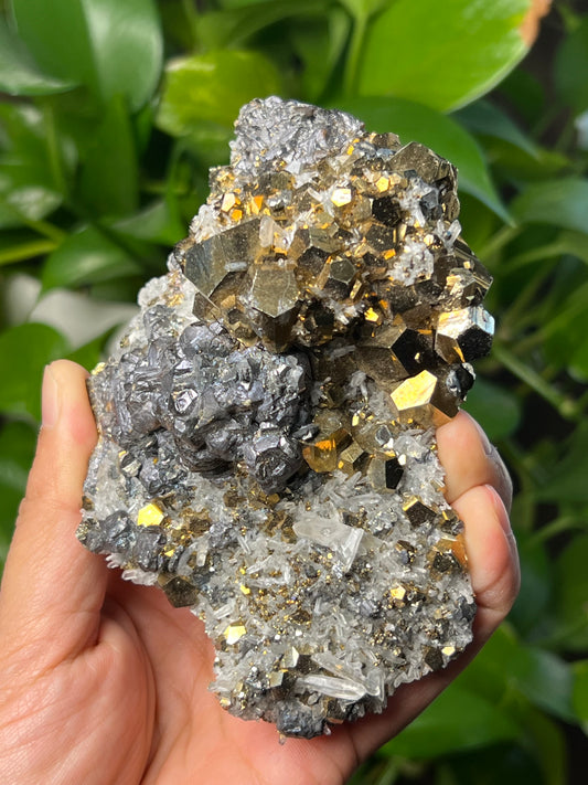 Rainbow Pyrite Quartz