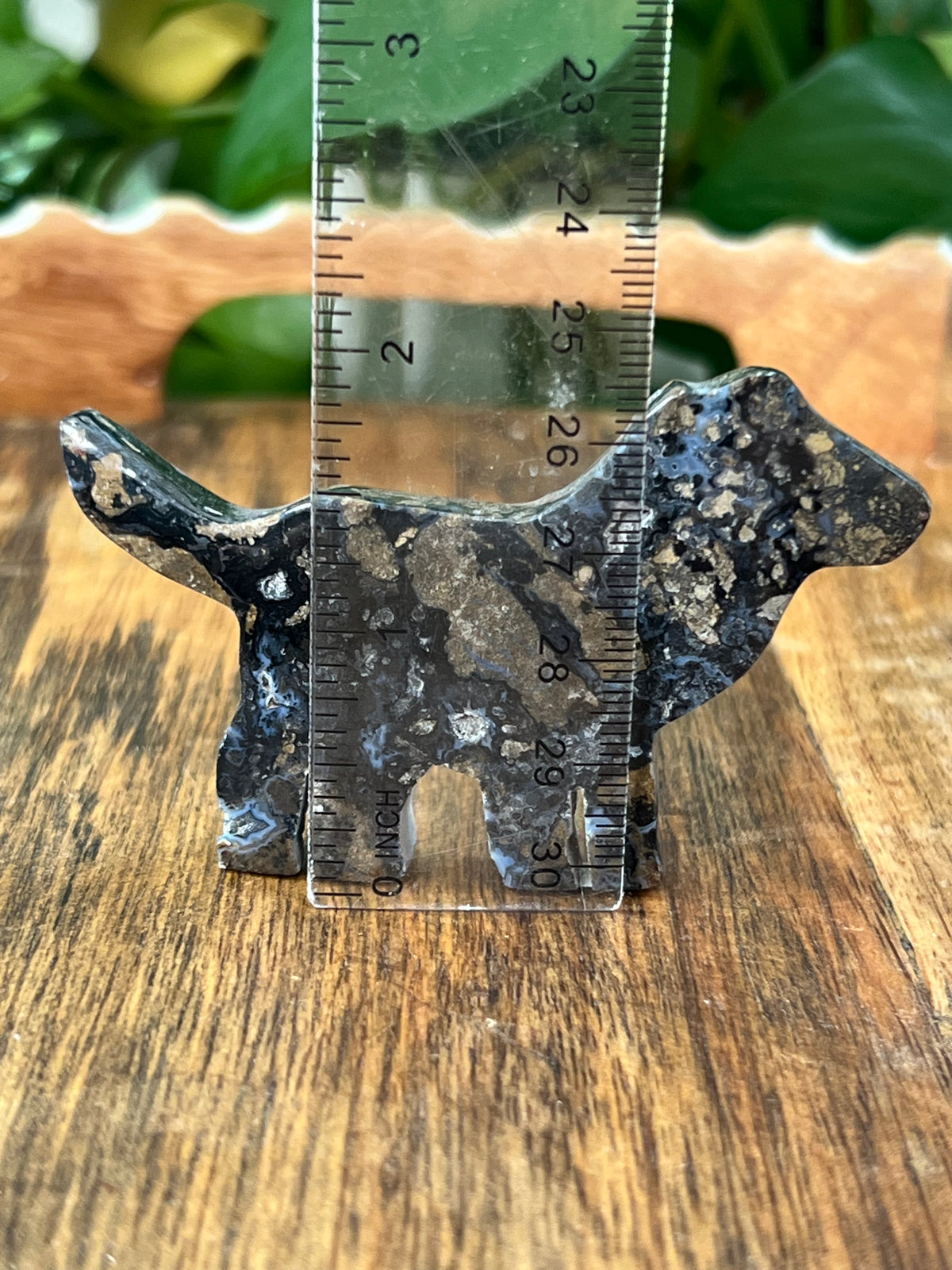 Moody Brecciated Jasper Dogs