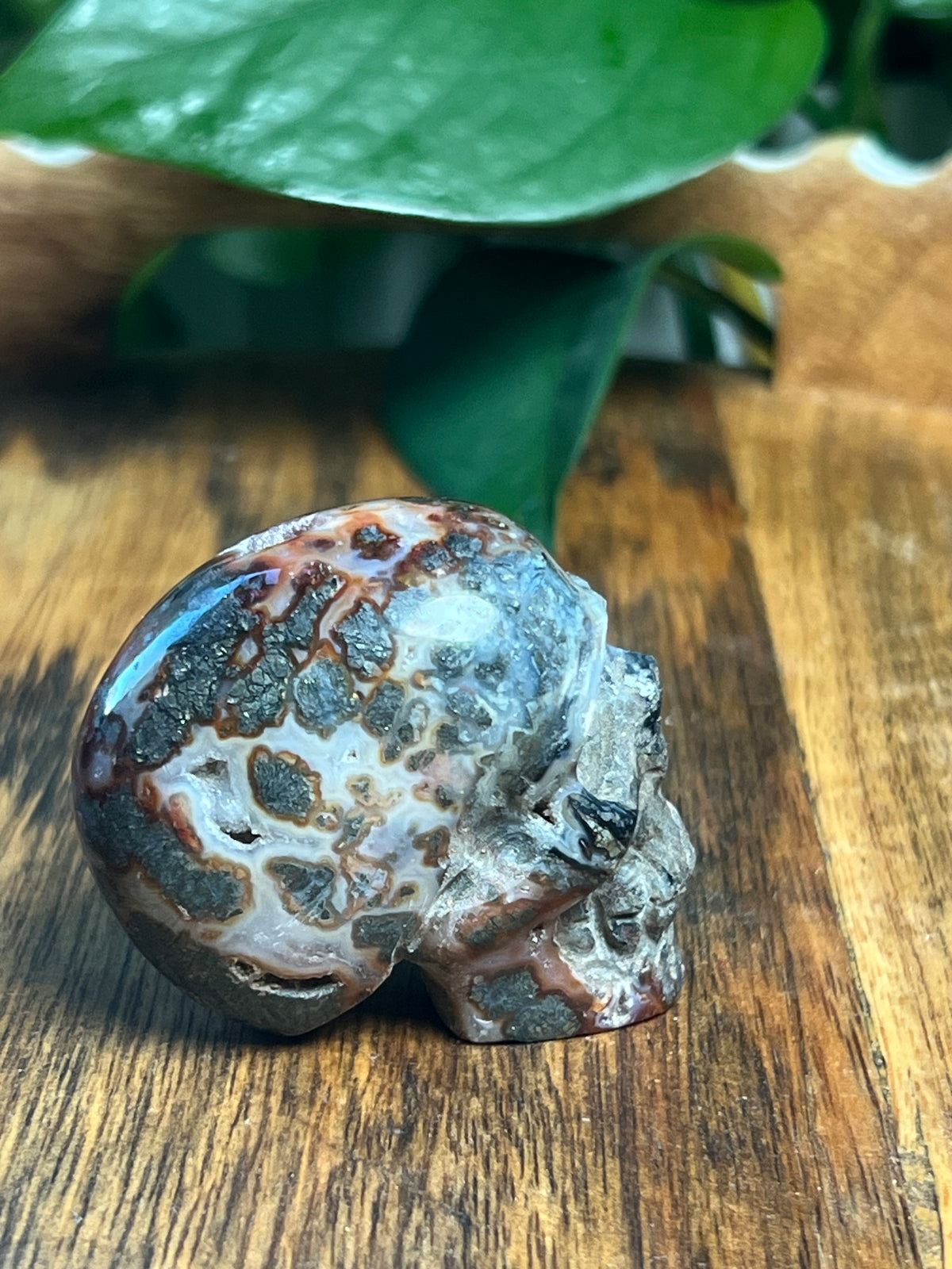 Marcasite Mini Skull: AC