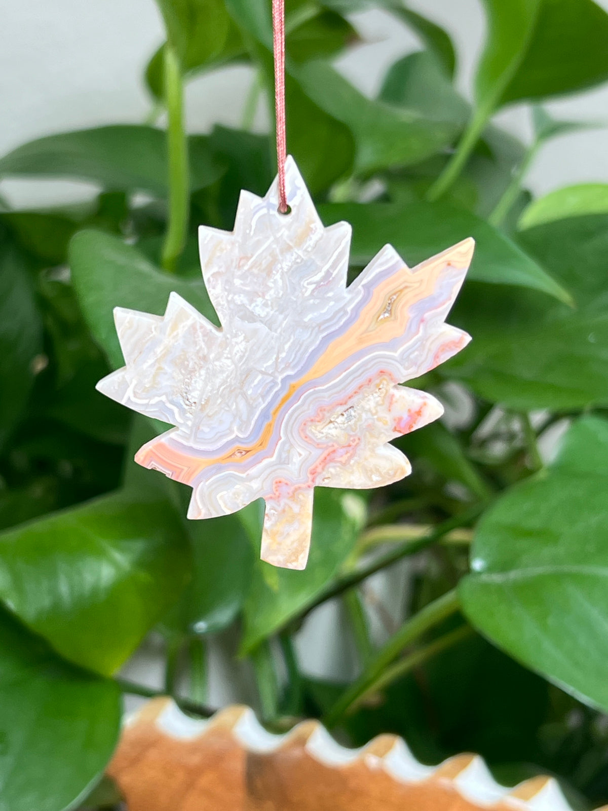 Crazy Lace Agate Ornament Leaf: P