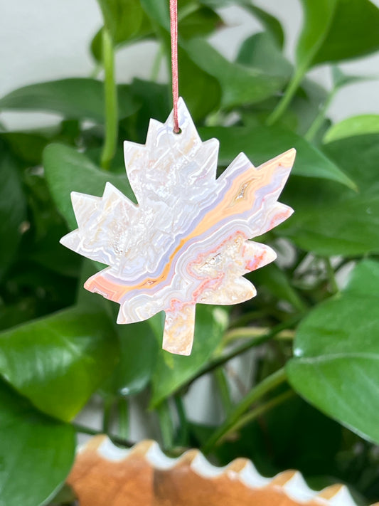 Crazy Lace Agate Ornament Leaf: P