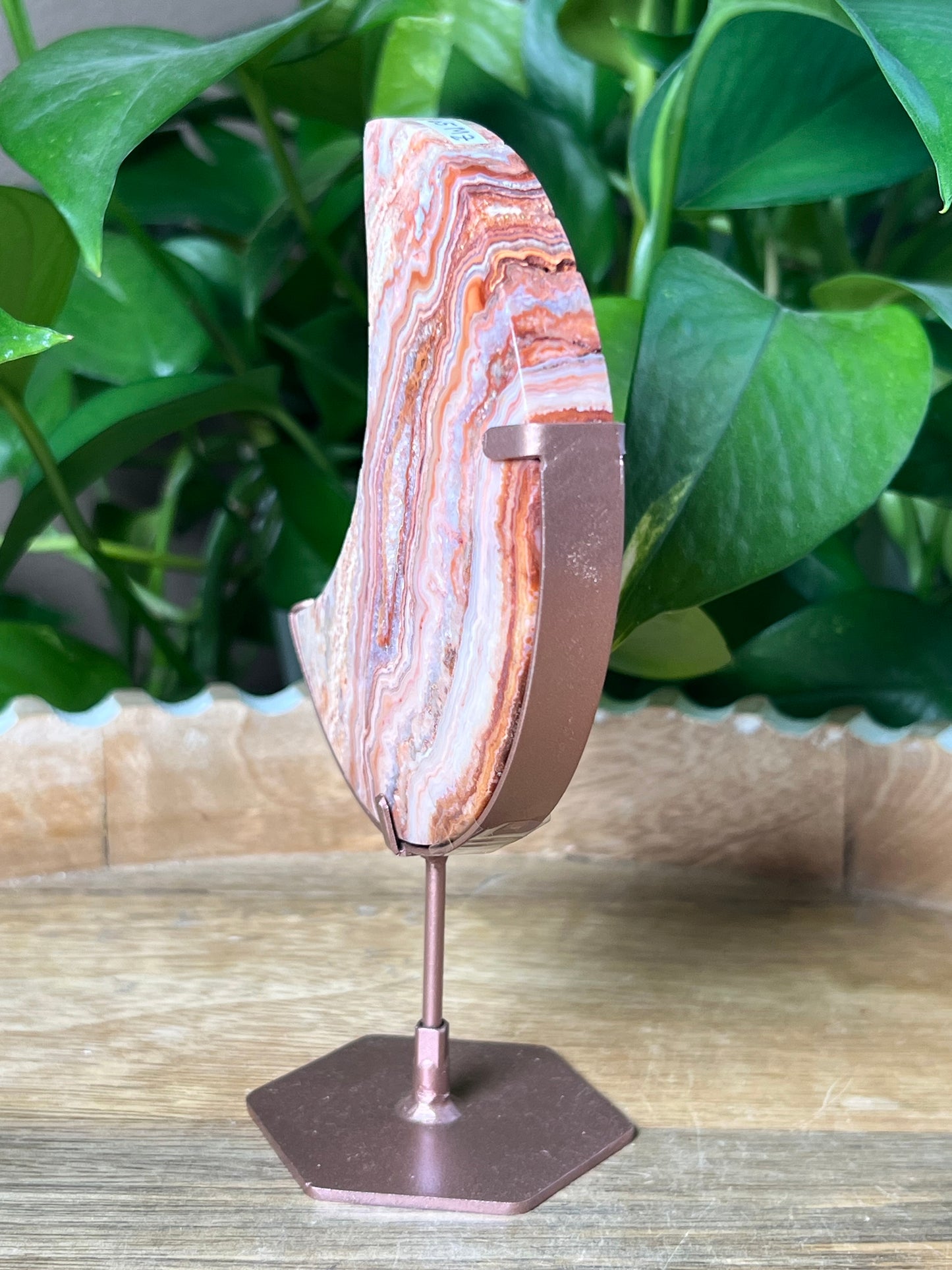 Crazy Lace Agate Moon