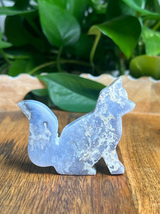 Blue Plume Agate Fox: BC