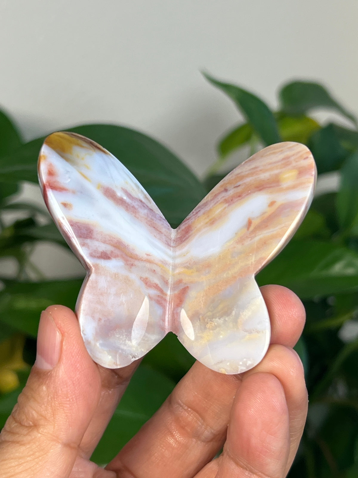 Milky River Jasper 3D Butterflies