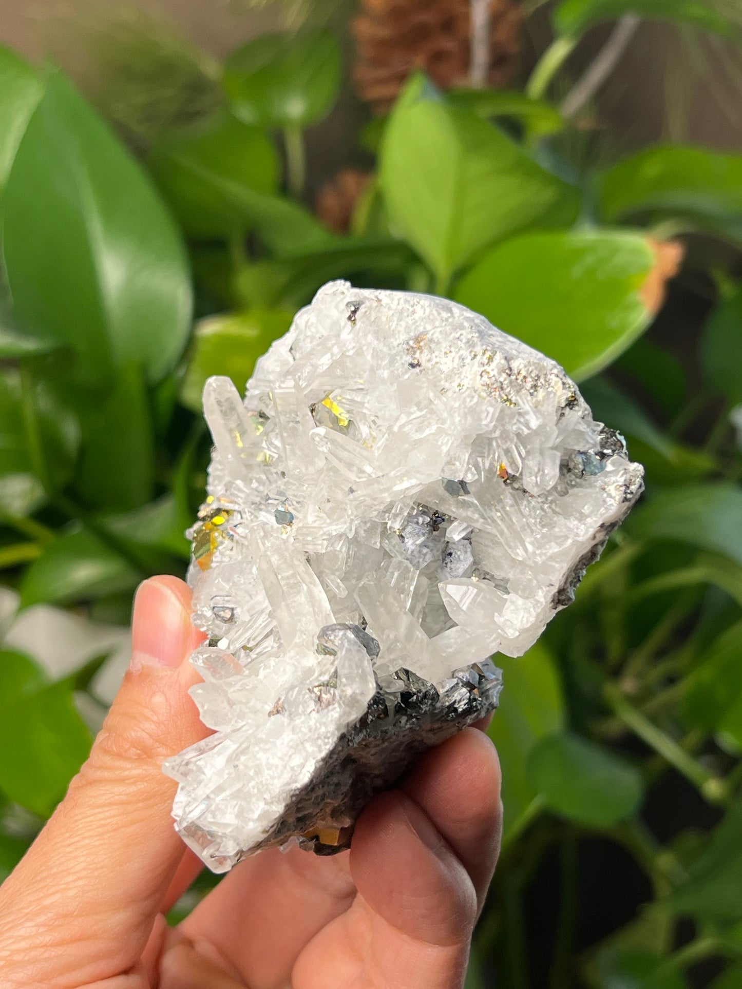 Rainbow Pyrite Quartz
