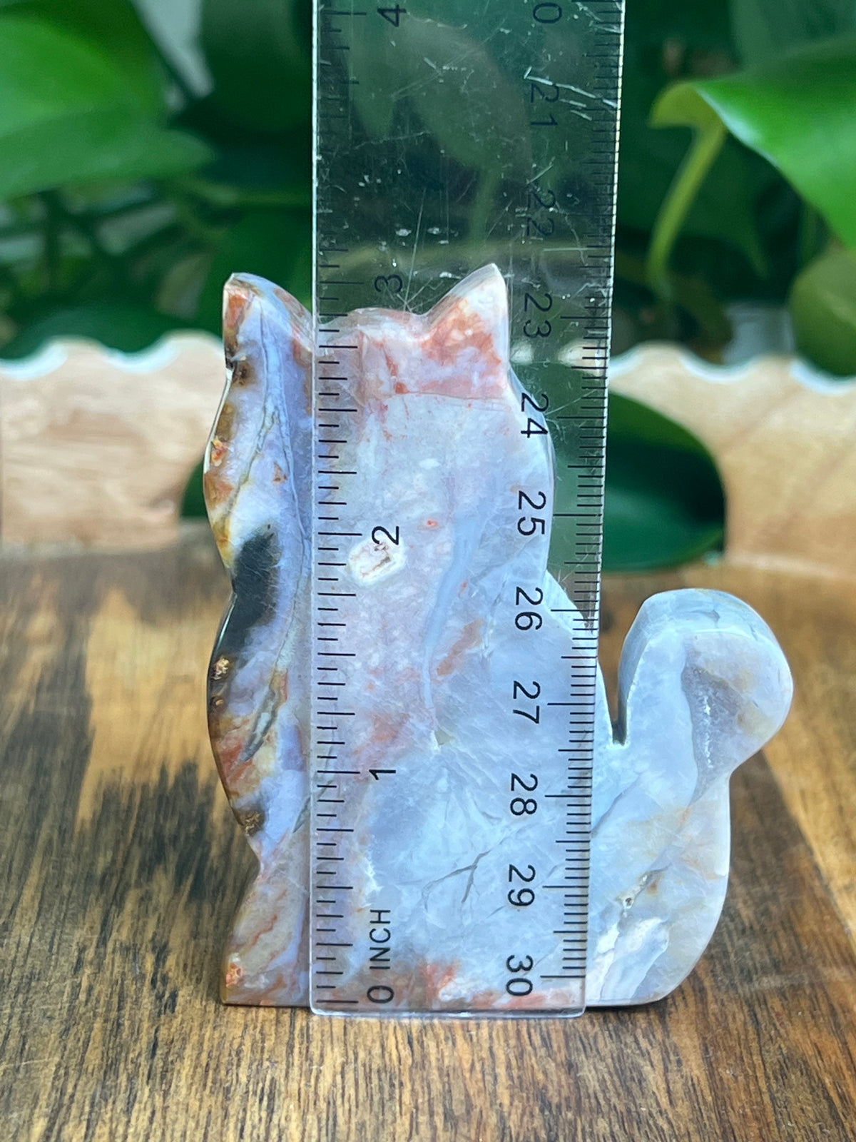 River Jasper Cat: BB