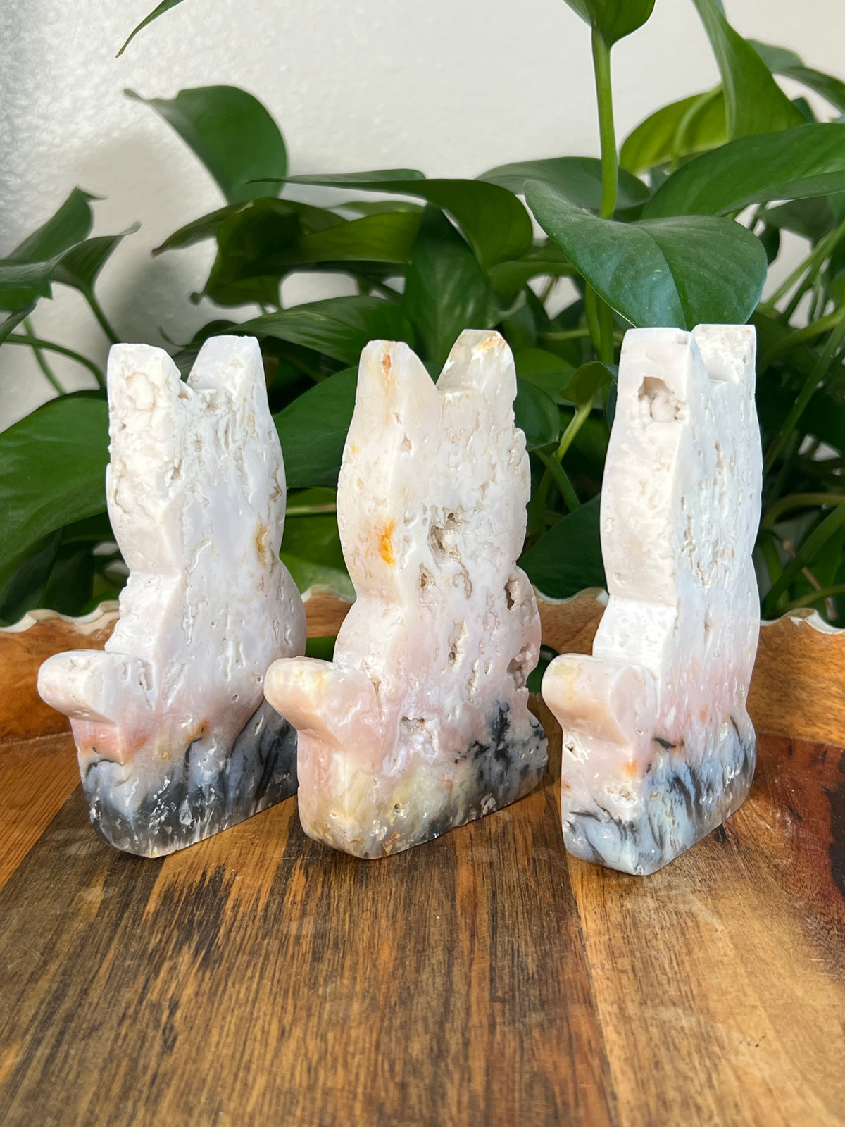 Rainbow Plume Agate Cats