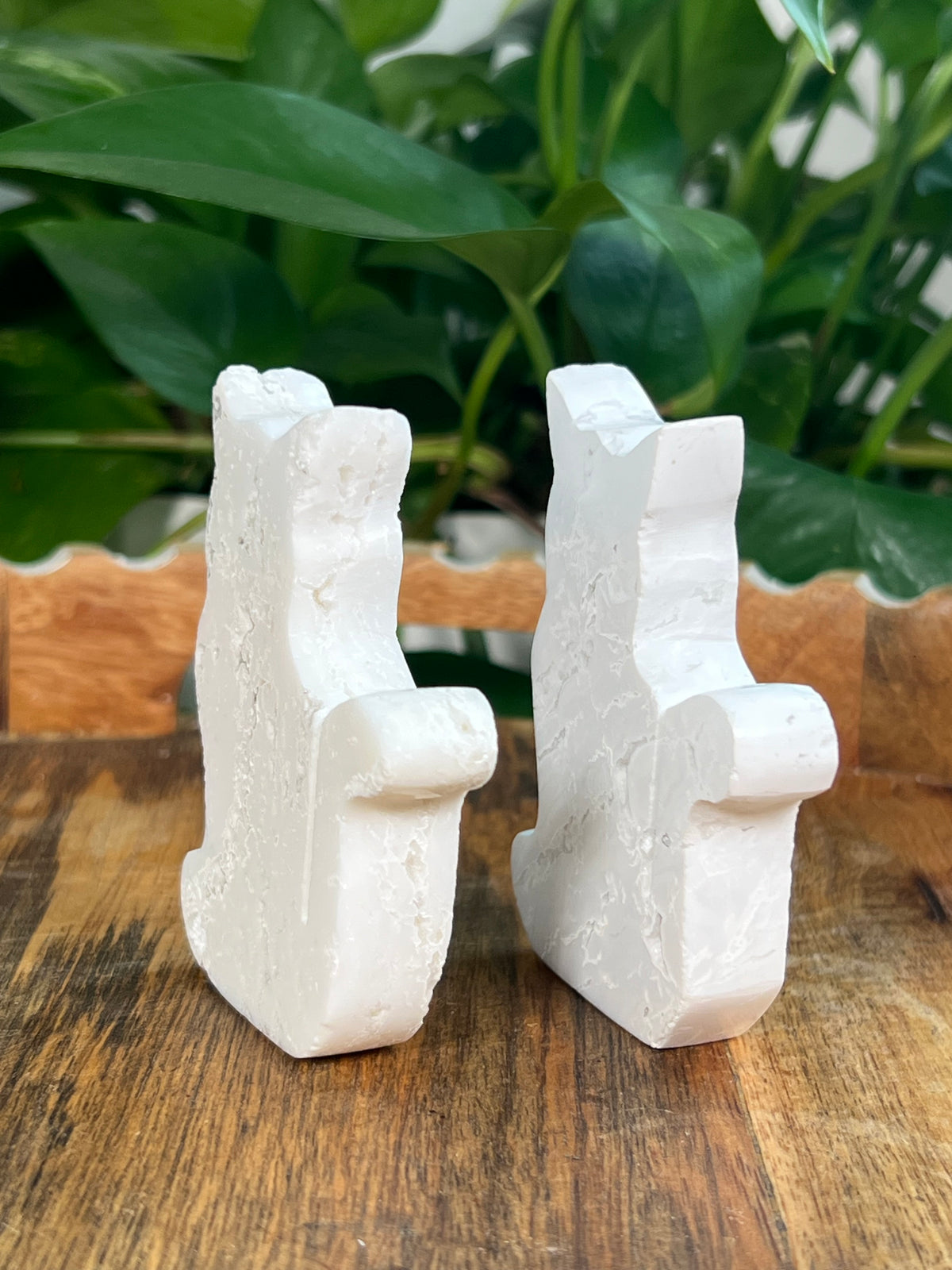 White Plume Agate Cats