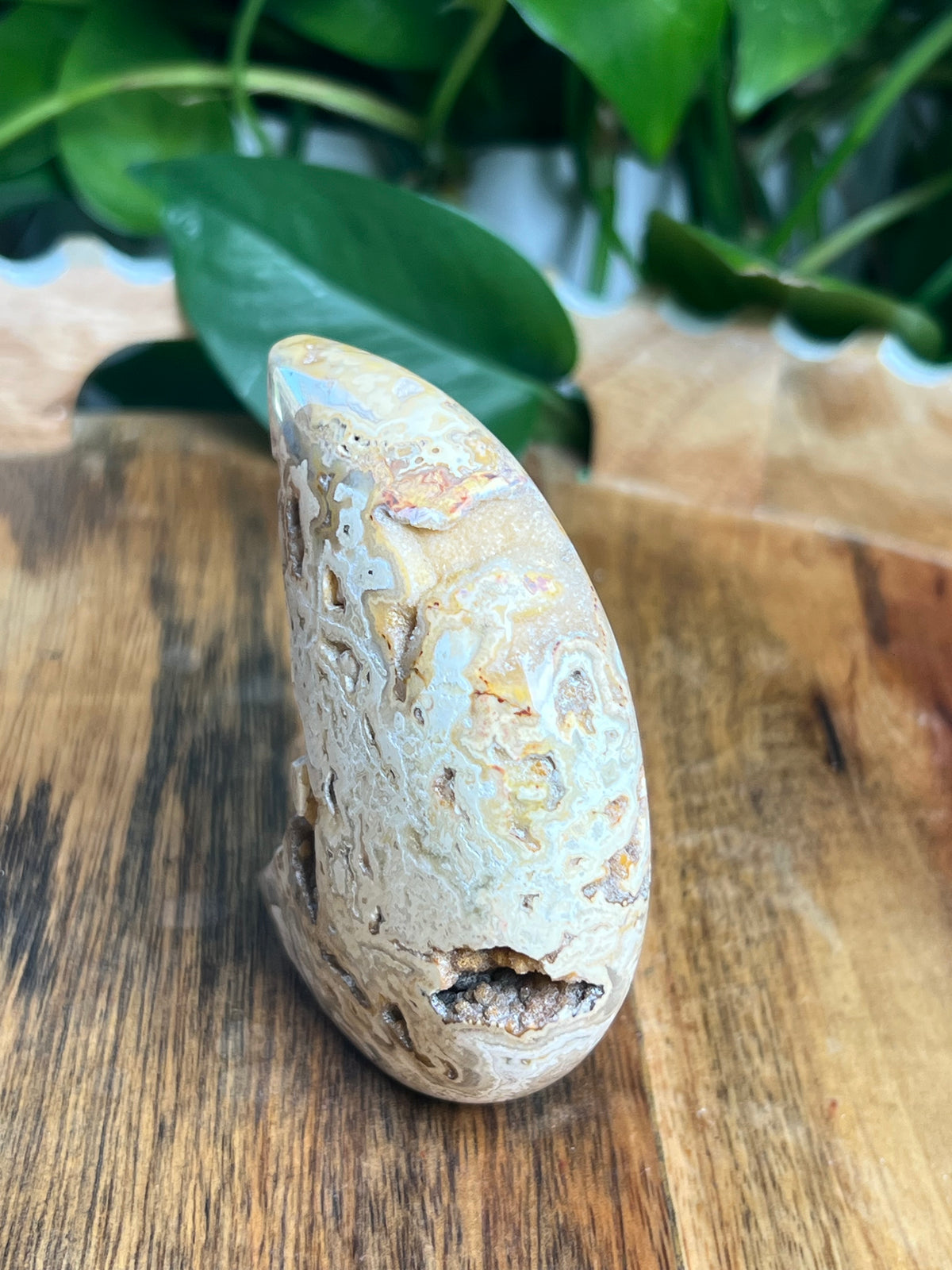 Crazy Lace Agate Self Standing Moon: CE