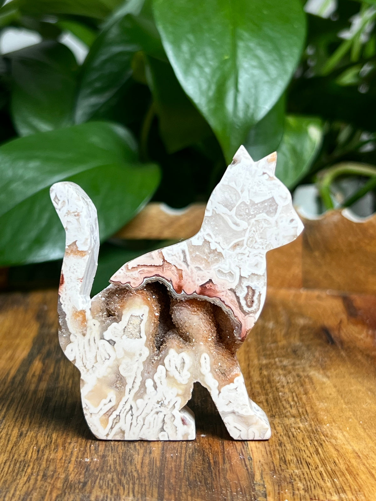 Tube Agate Cats