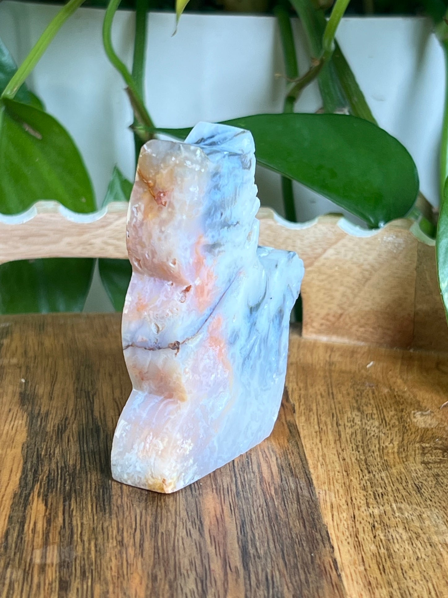 Rainbow Plume Agate Cat NC
