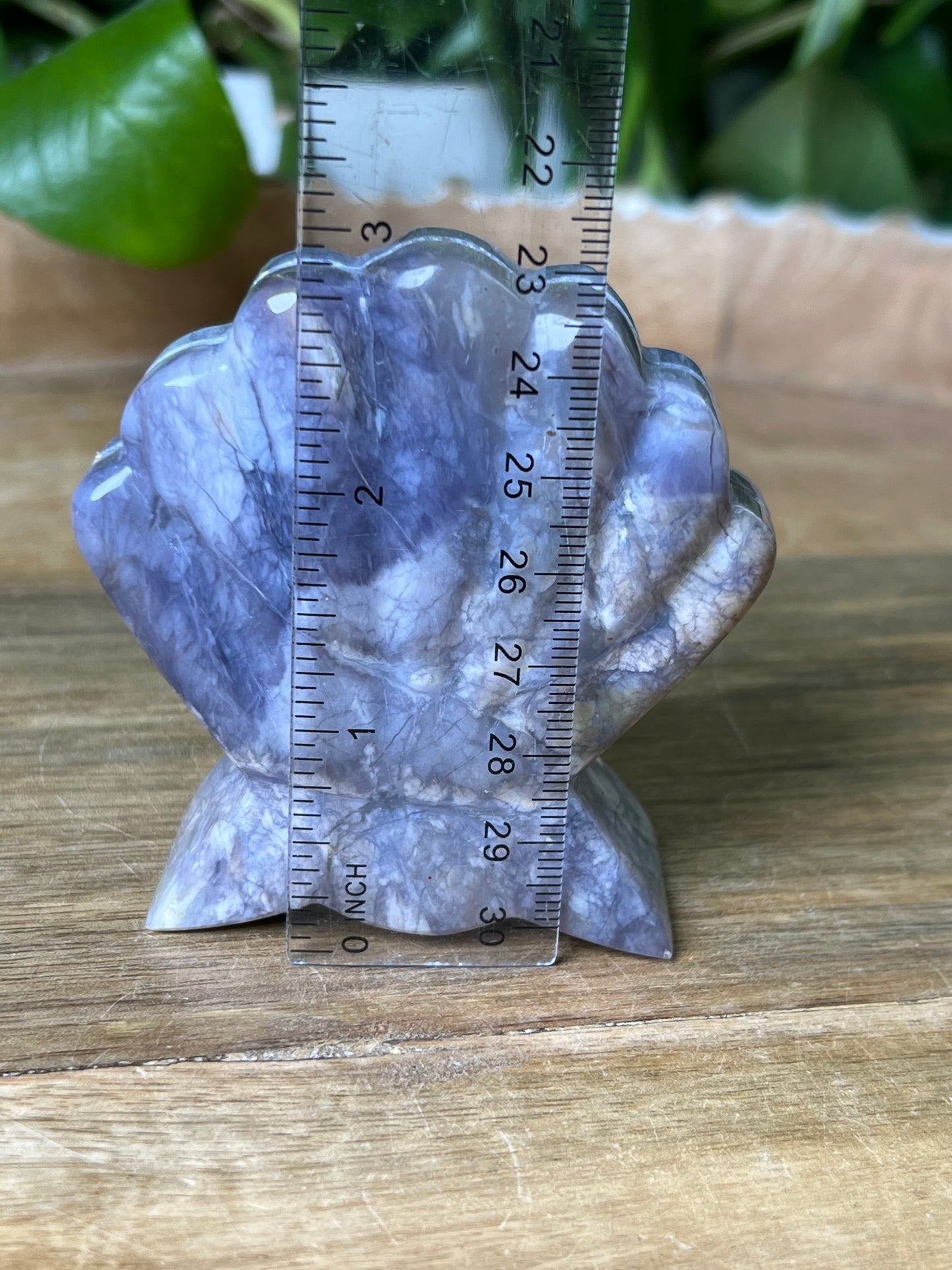 Purple Chalcedony Shell