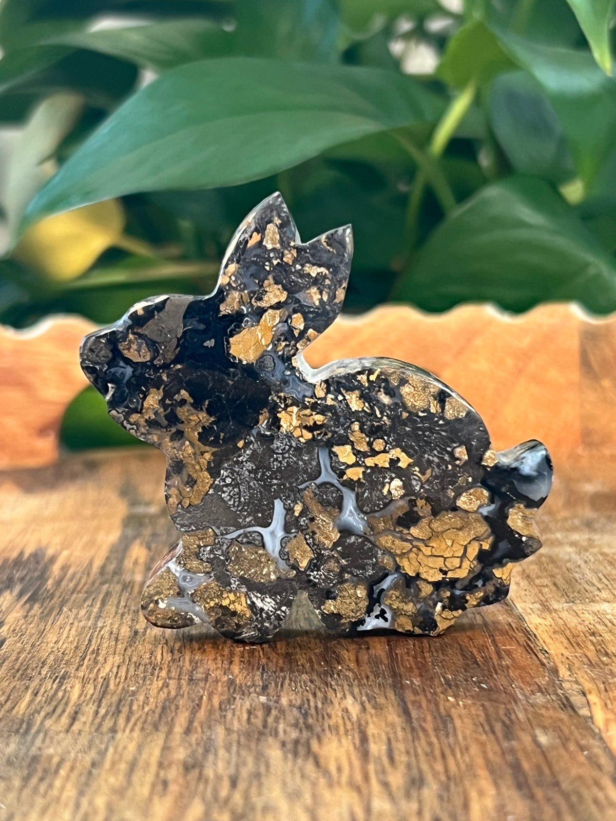 Brecciated Jasper Bunny: AB