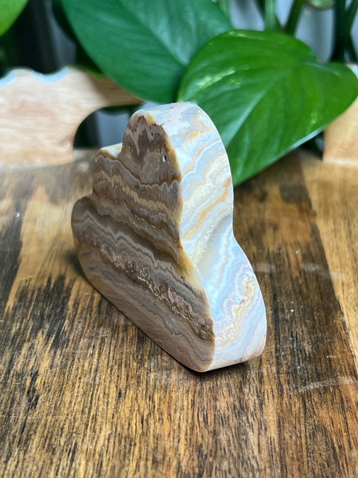 Crazy Lace Agate Cloud: EB