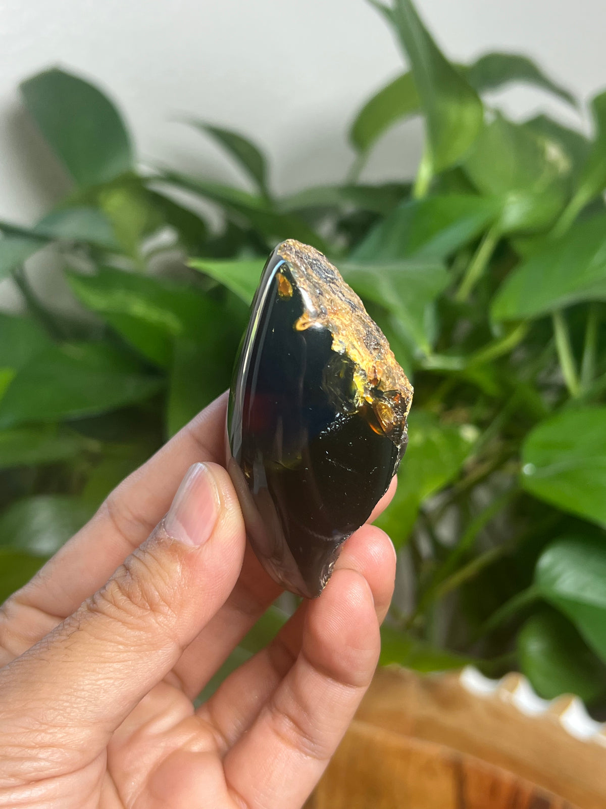 Blue Amber Freeform: Bi