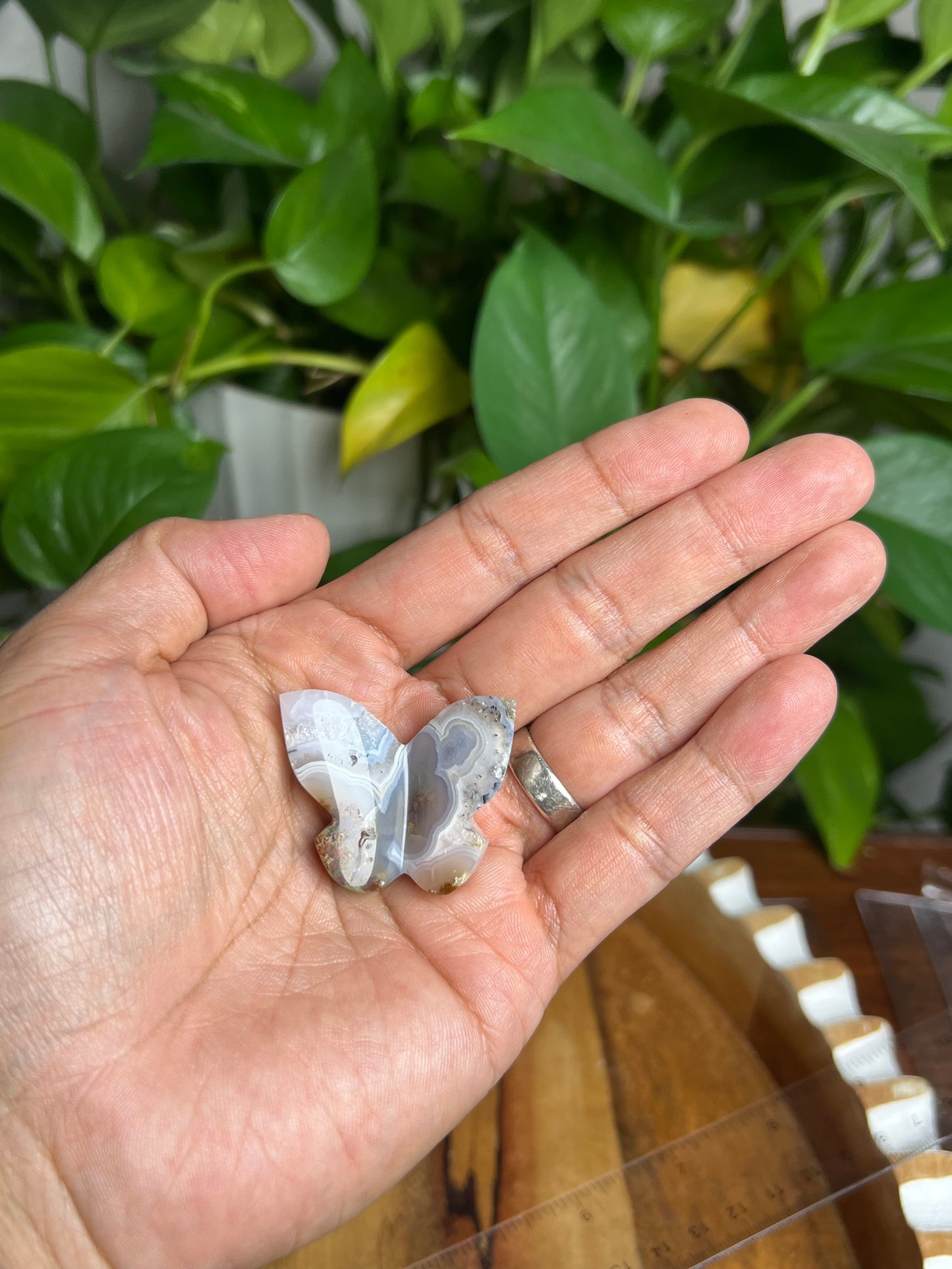 Scenic Moss Agate 3D Butterfly K